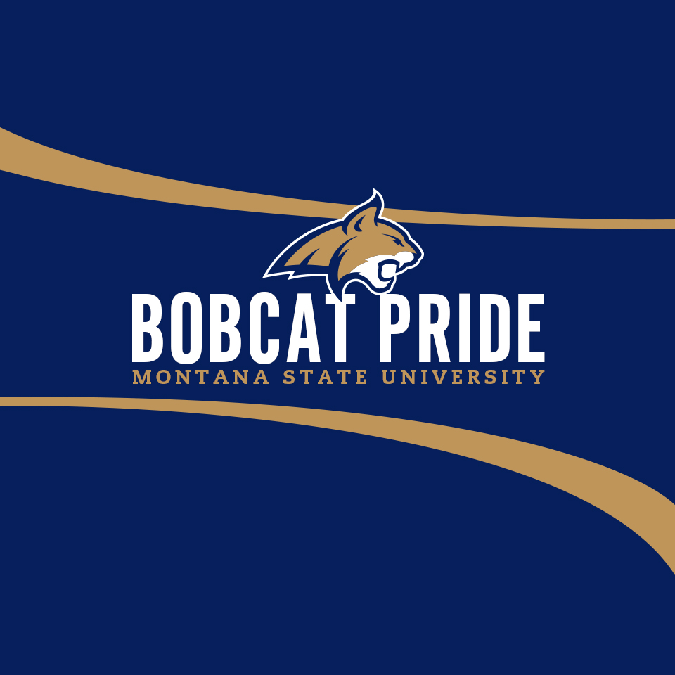 Montana State Wallpapers