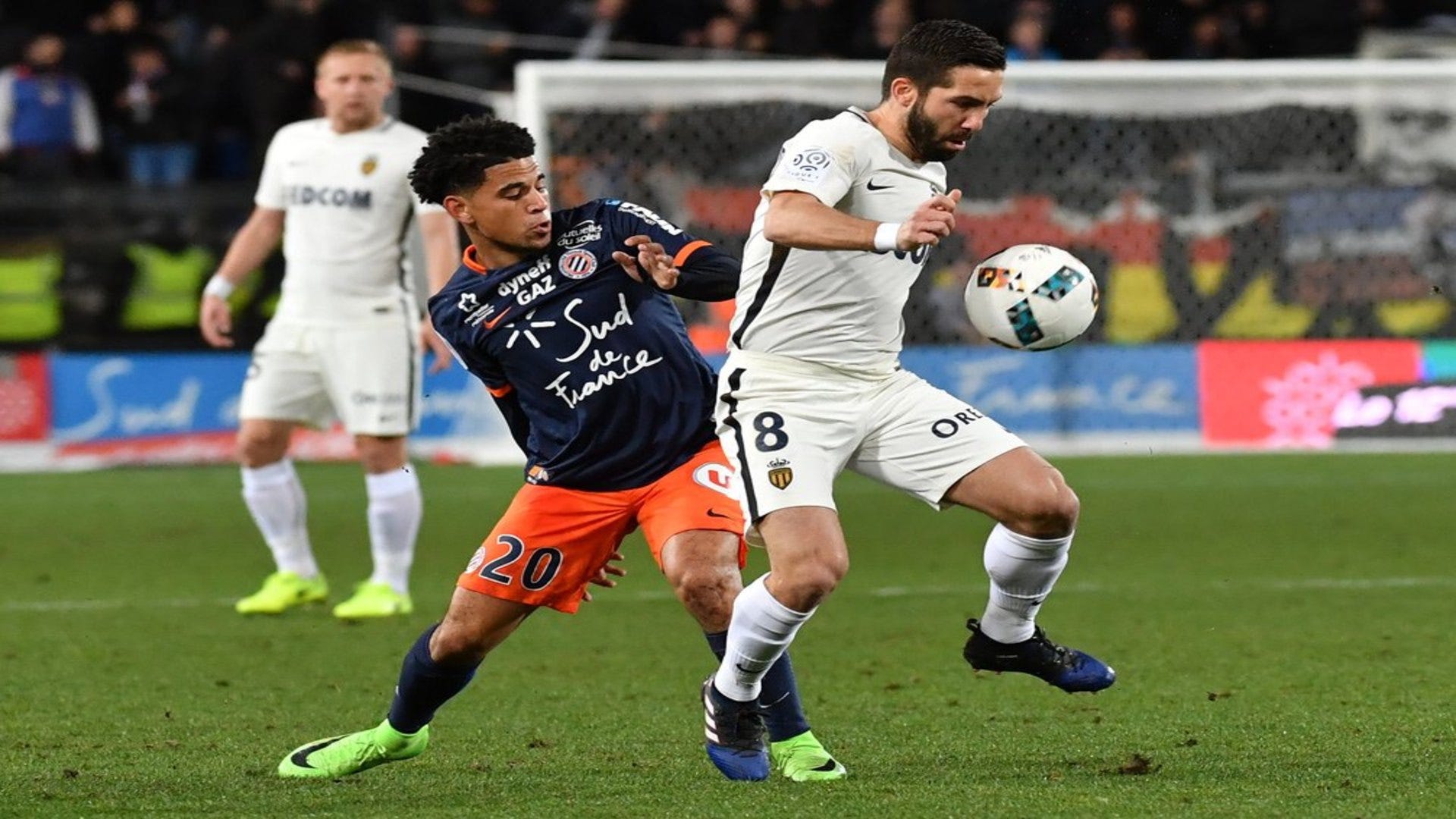 Montpellier Hsc Wallpapers