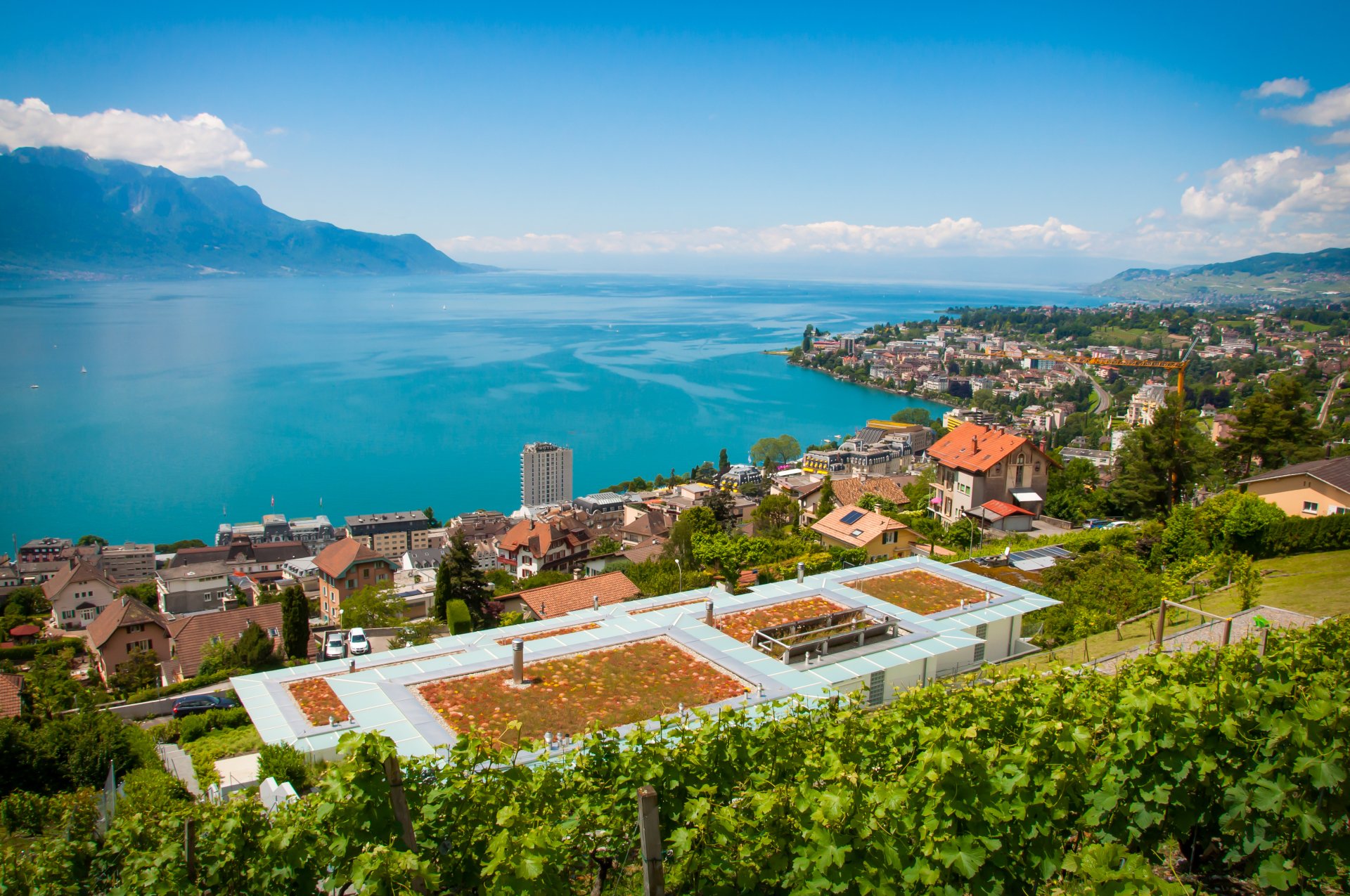 Montreux Wallpapers