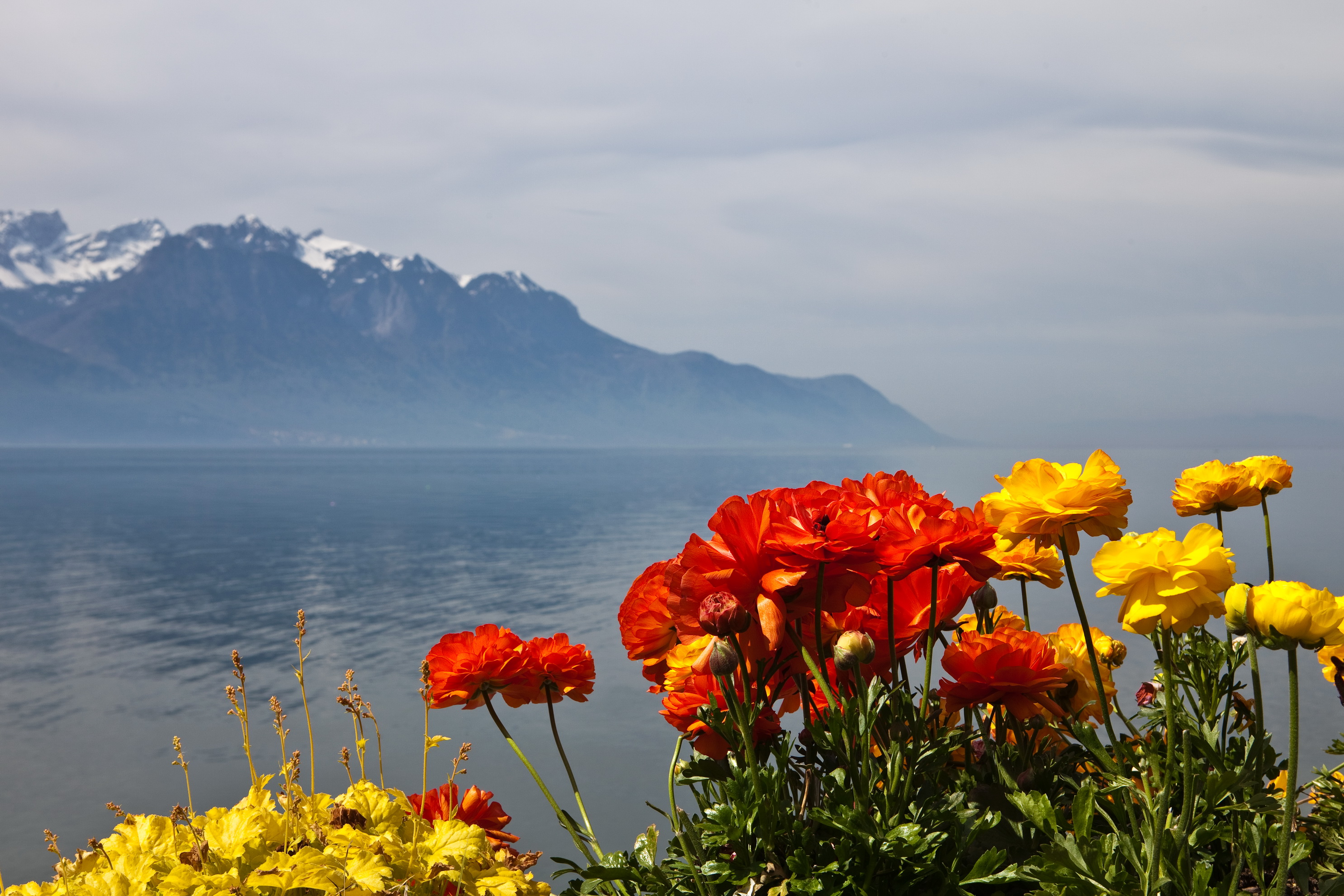 Montreux Wallpapers