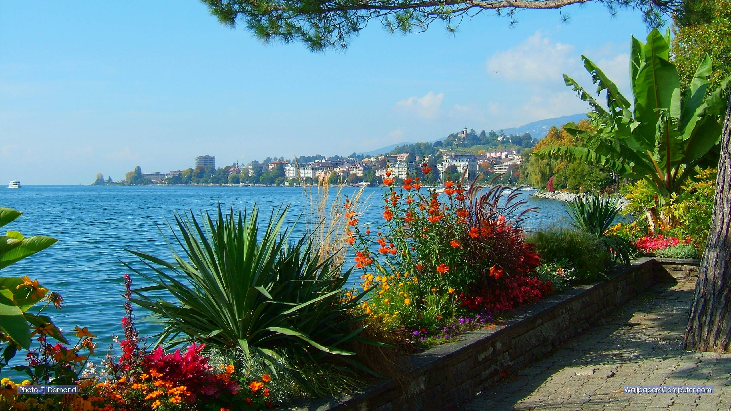 Montreux Wallpapers