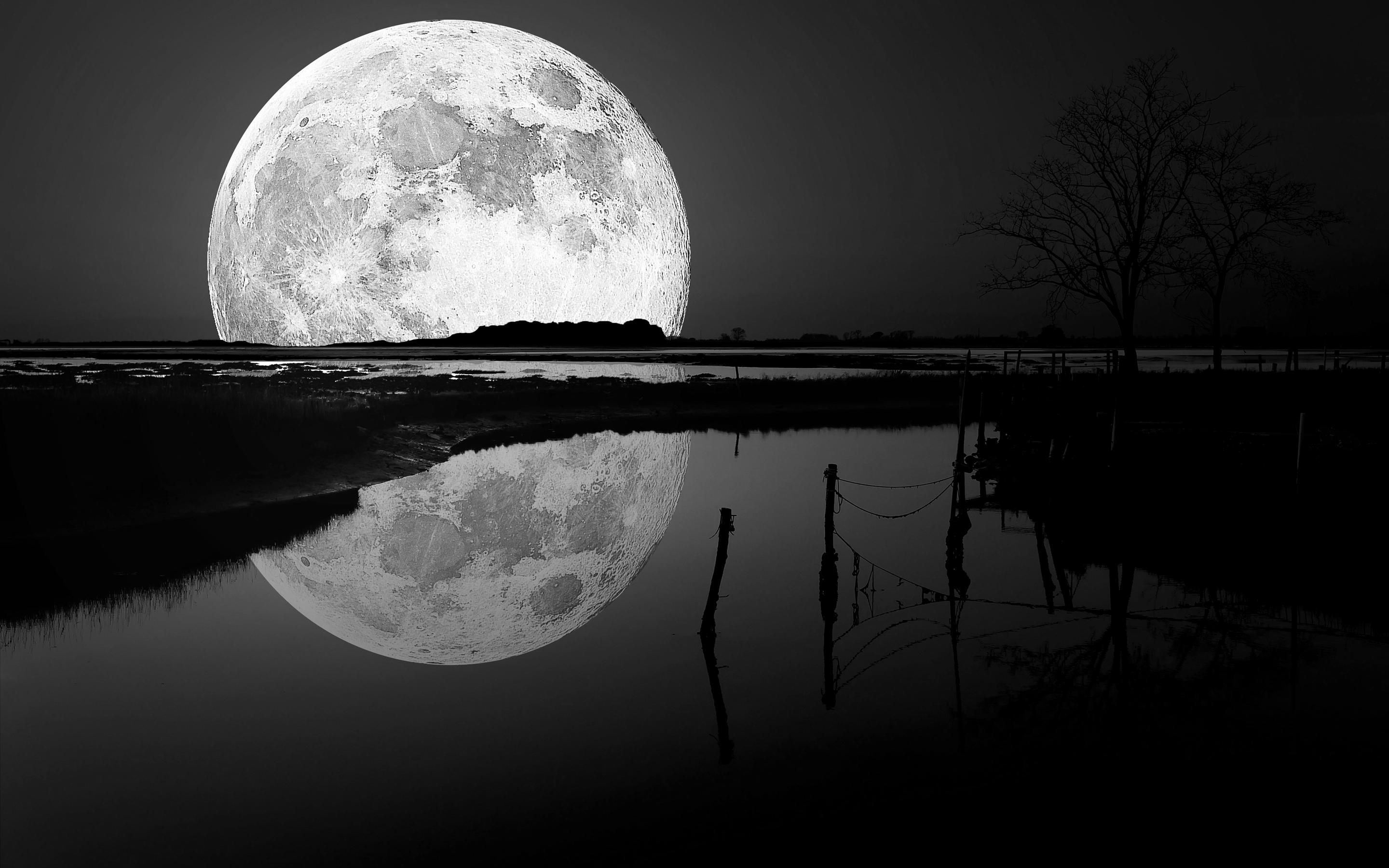 Moon Light Black Wallpapers