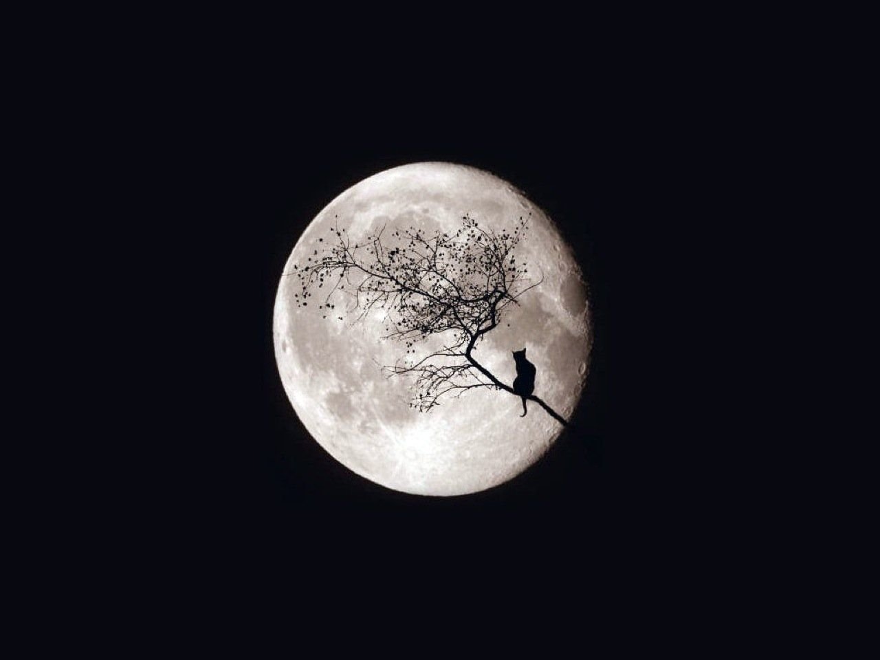 Moon Nature Wallpapers