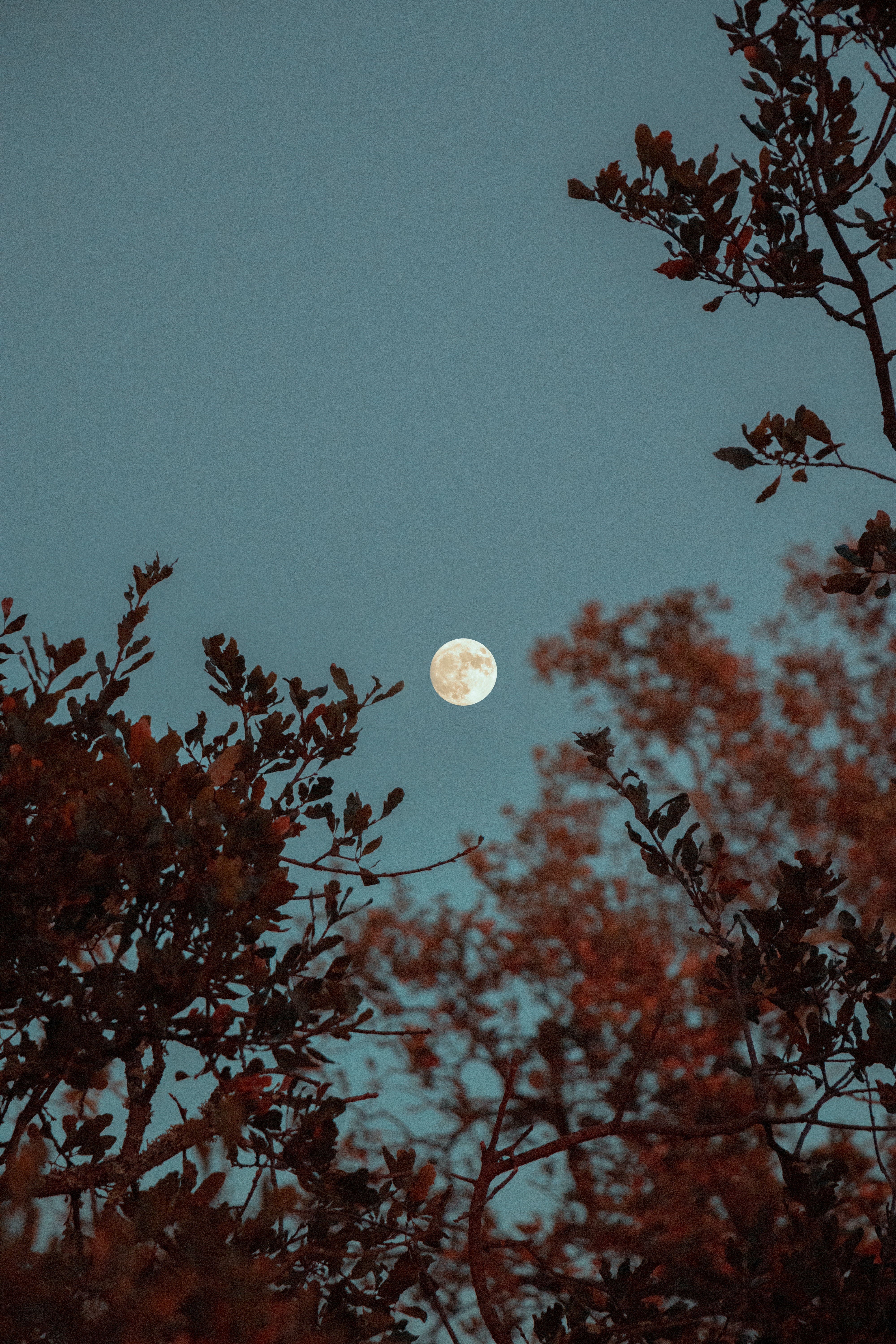 Moon Nature Wallpapers