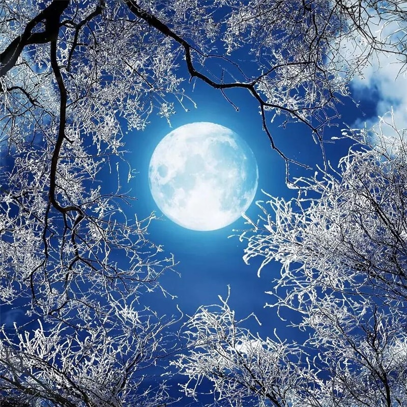 Moon Night Hd Landscape Wallpapers