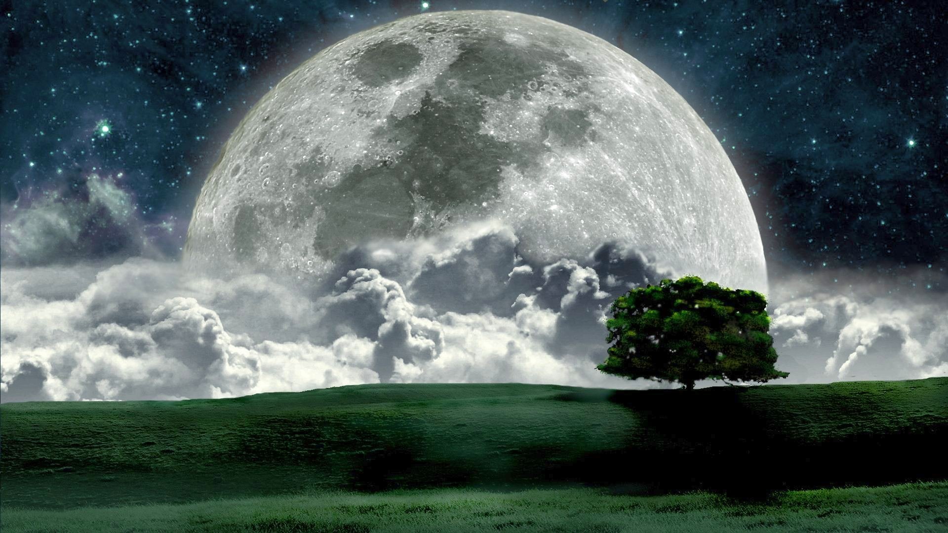 Moon Night Hd Wallpapers