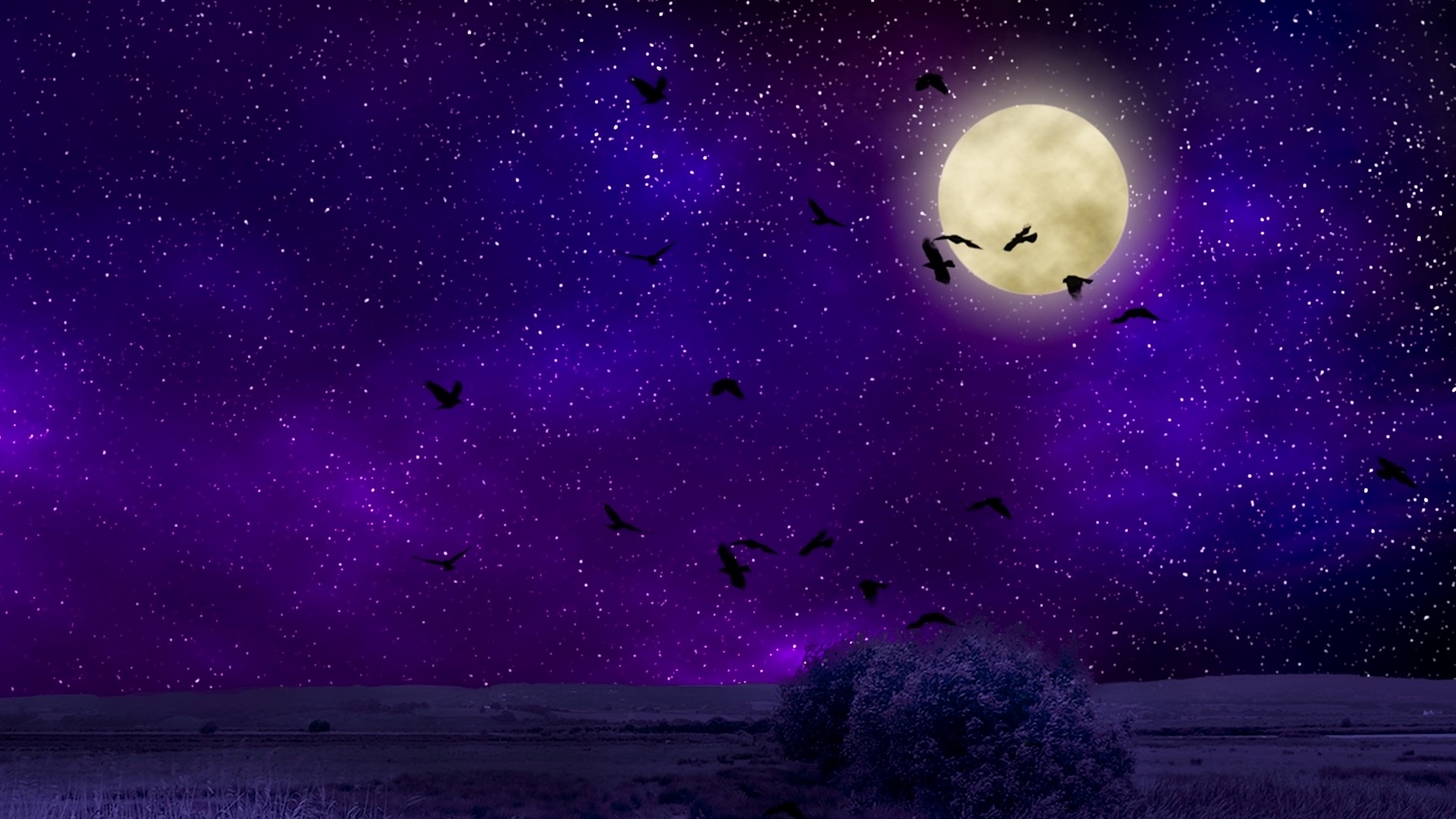 Moon Night Sky Wallpapers