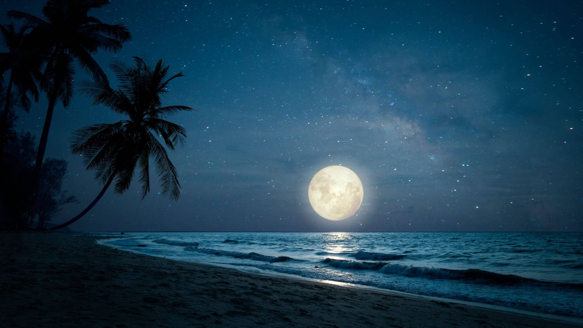 Moonlight Beach Wallpapers