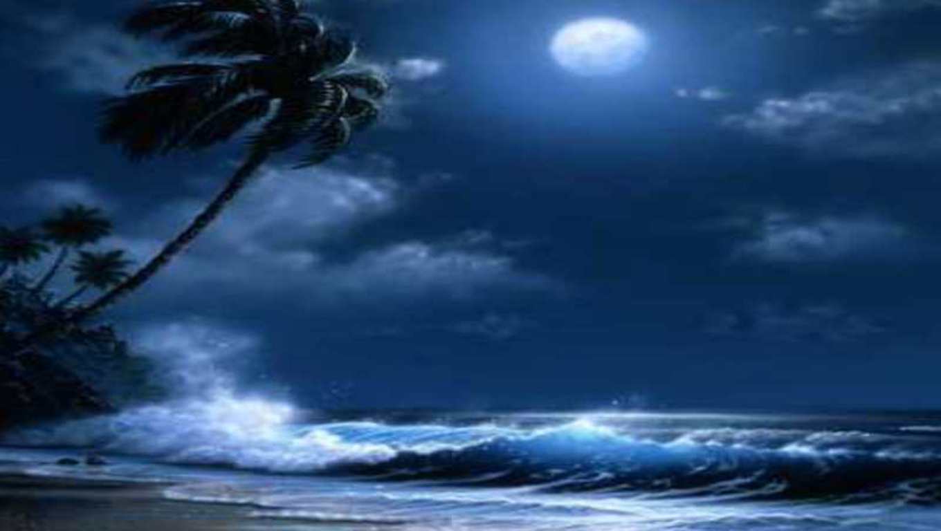 Moonlight Beach Wallpapers