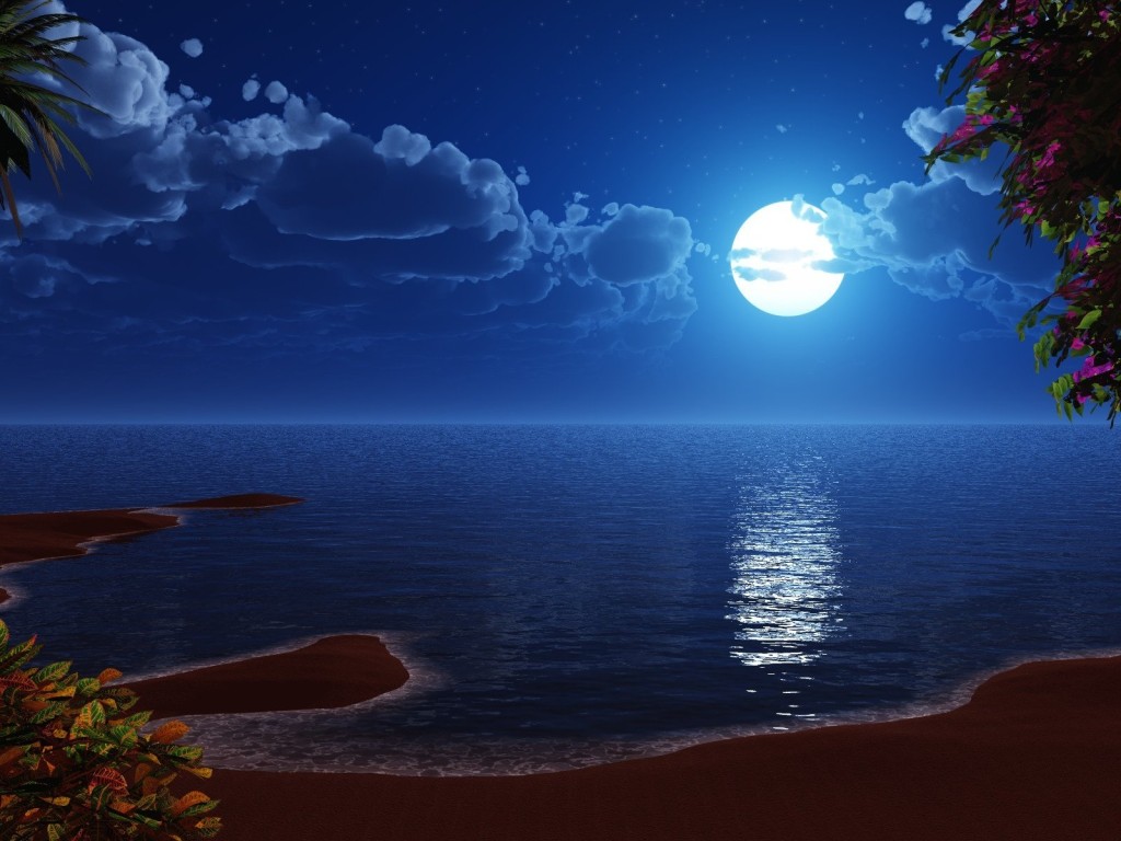 Moonlight Beach Wallpapers