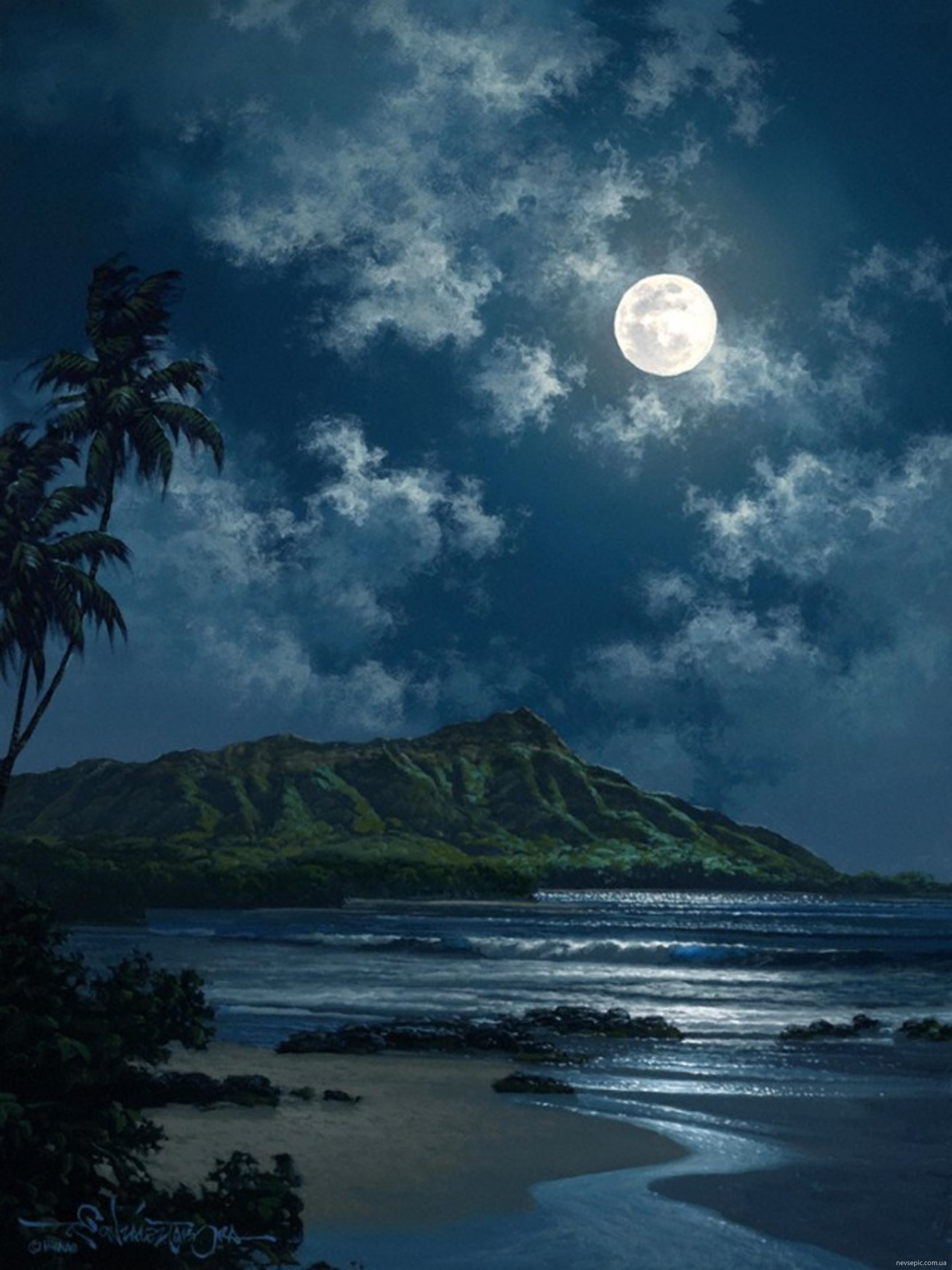 Moonlight Beach Wallpapers