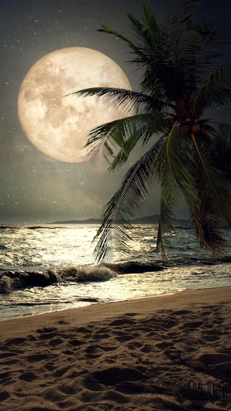 Moonlight Beach Wallpapers