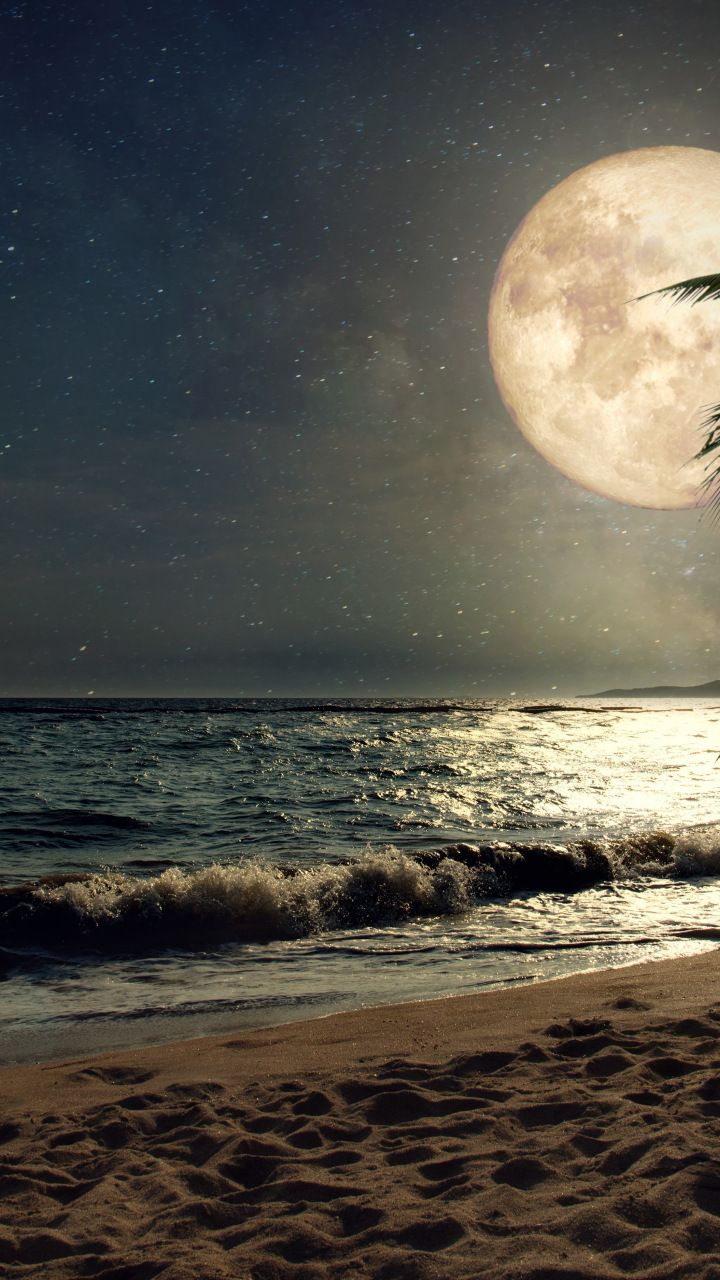 Moonlight Beach Wallpapers