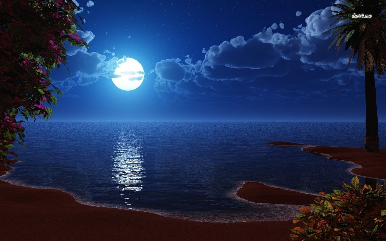 Moonlight Beach Wallpapers