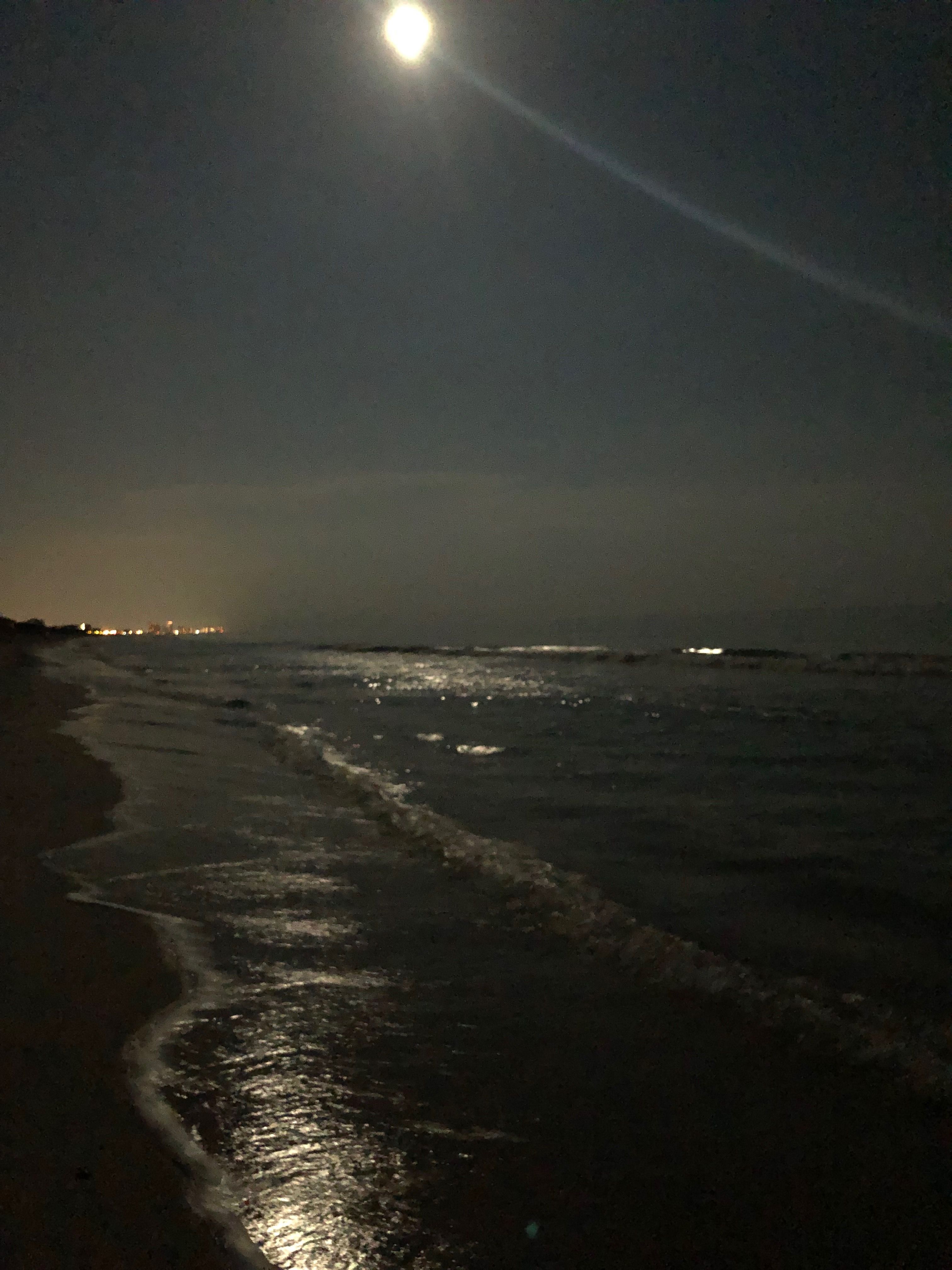 Moonlight Beach Wallpapers