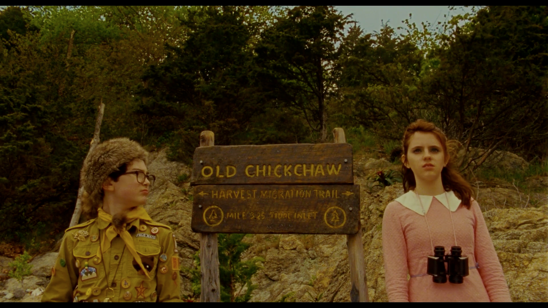 Moonrise Kingdom Wallpapers