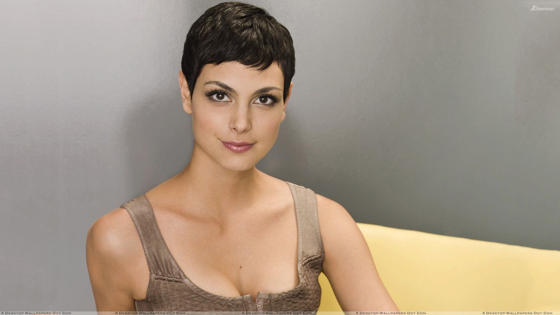 Morena Baccarin Wallpapers