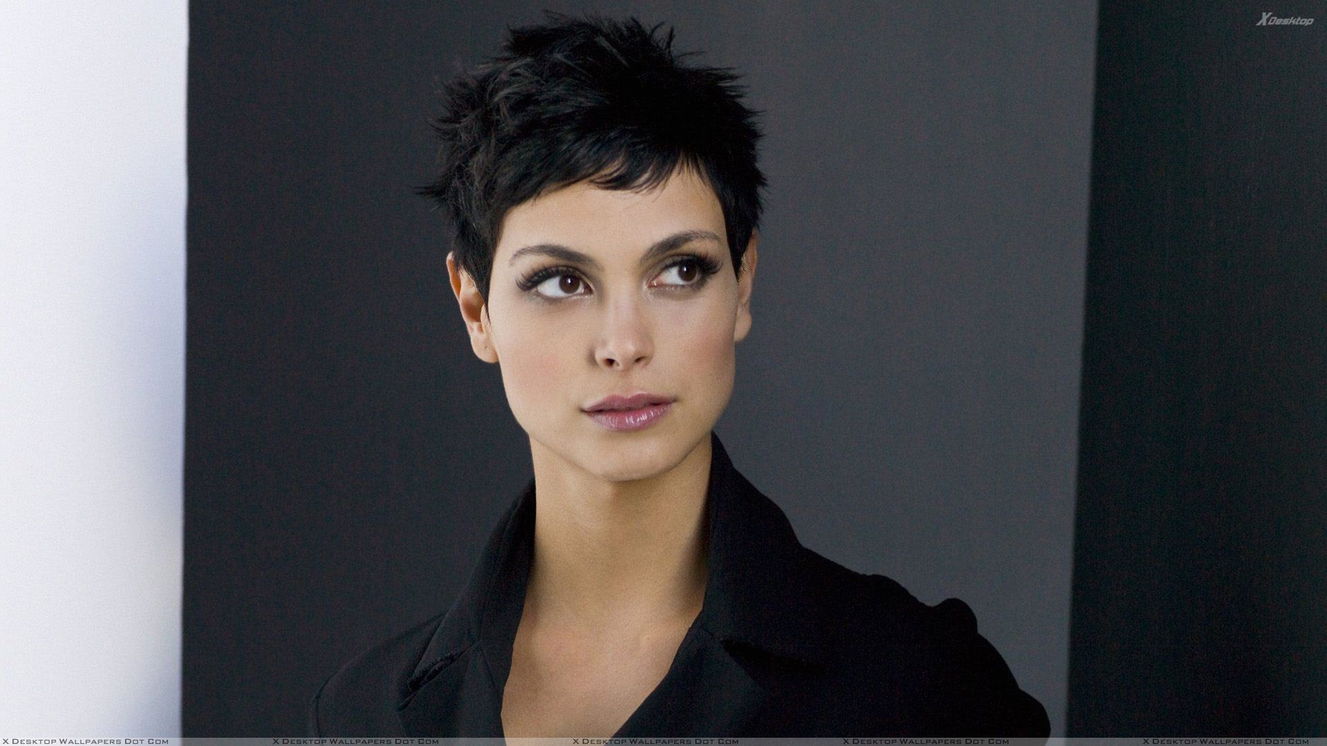 Morena Baccarin Wallpapers