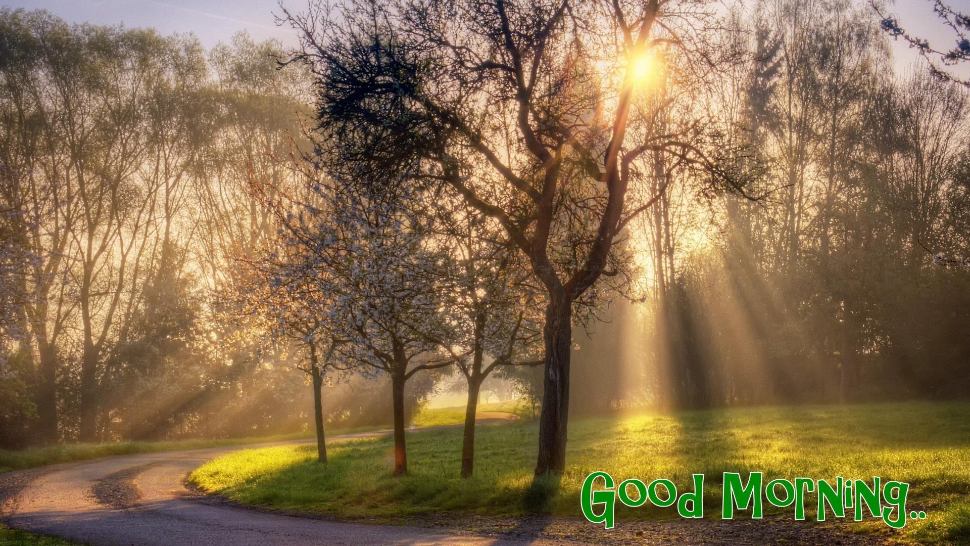 Morning Nature Images Wallpapers