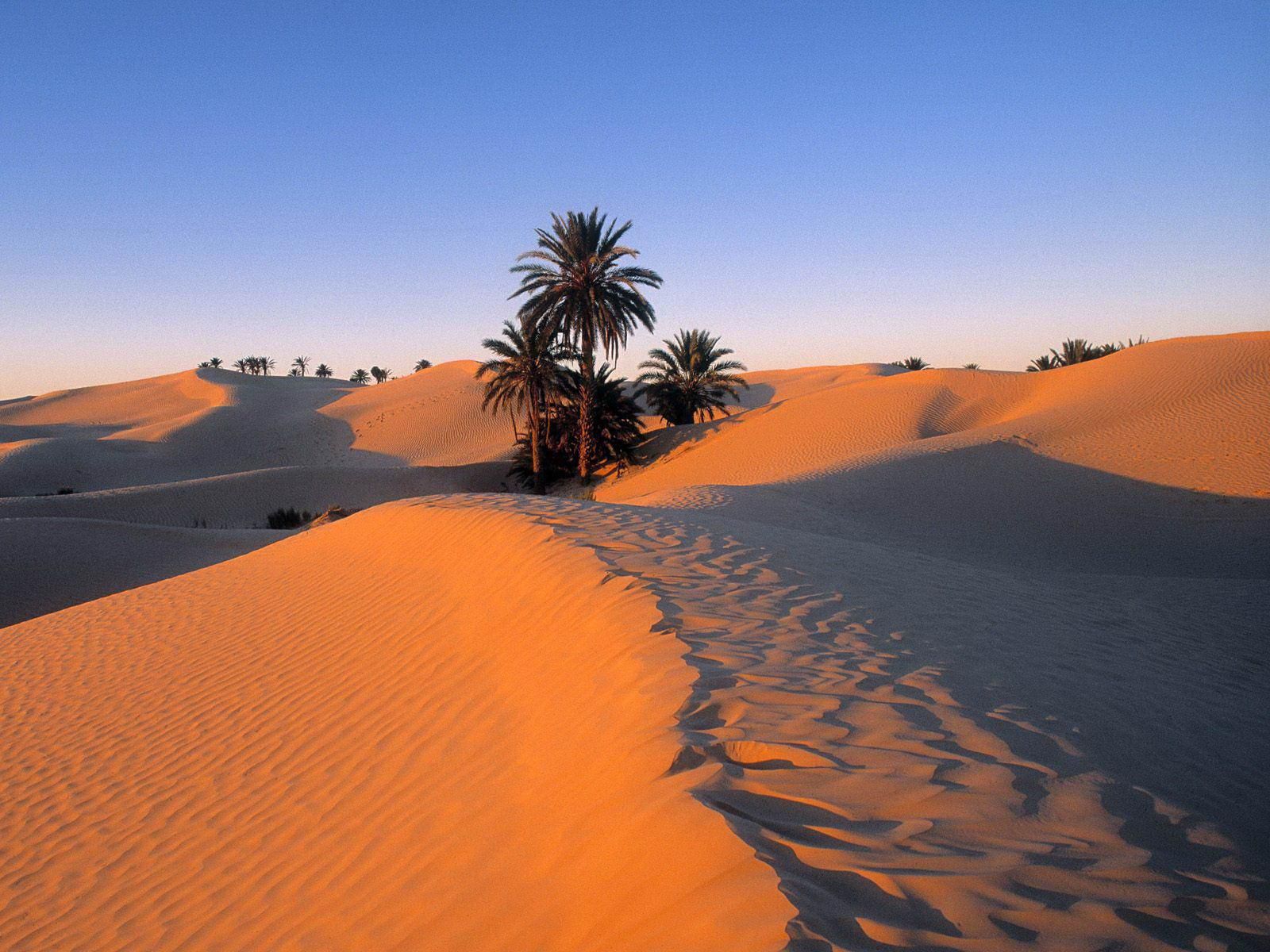 Morocco Desert Wallpapers