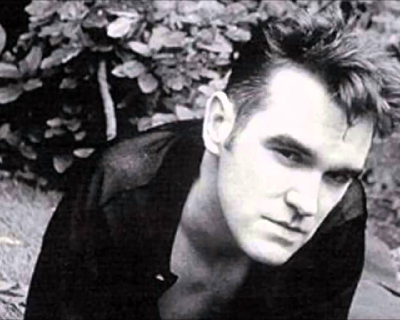 Morrissey Wallpapers