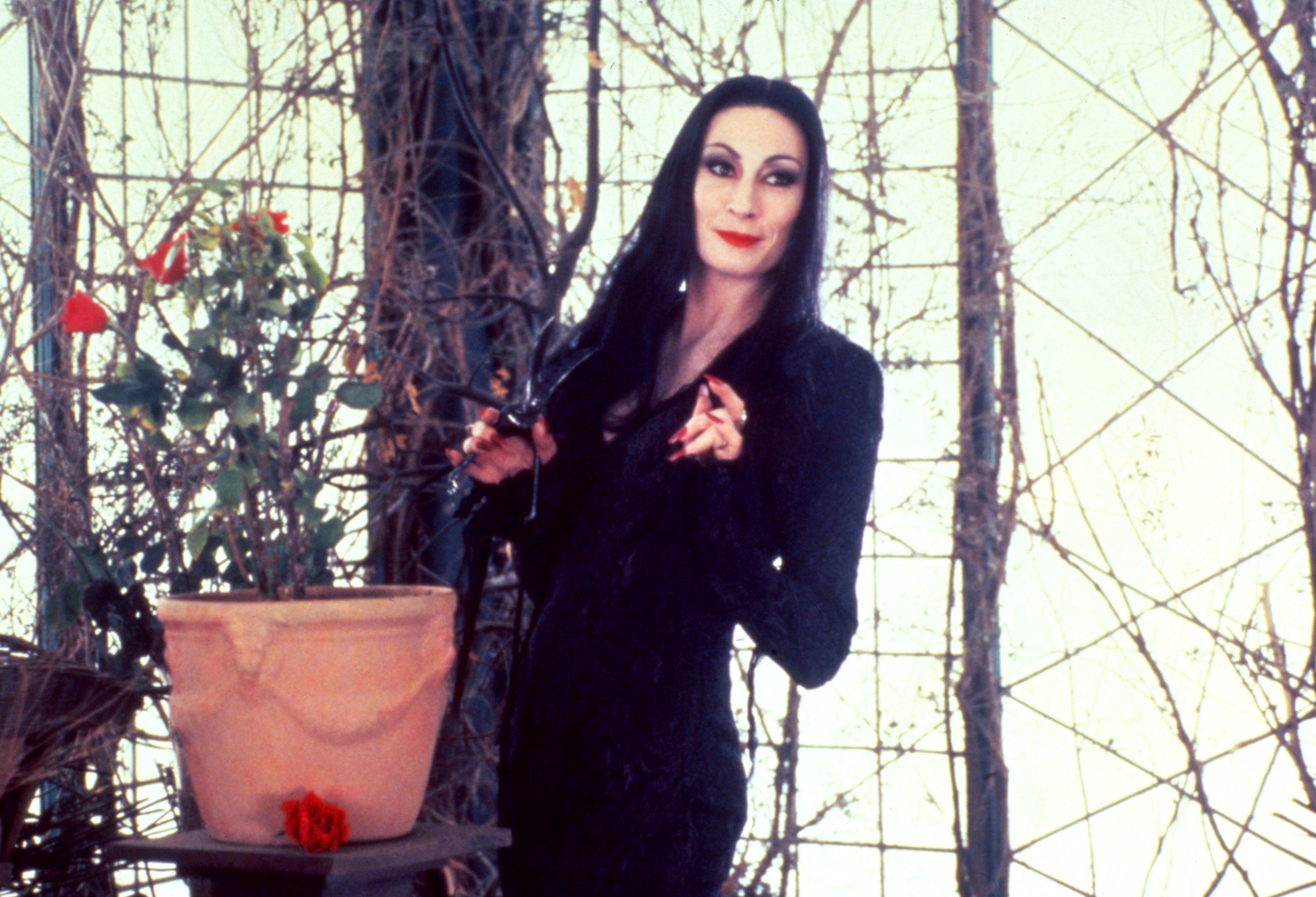 Morticia Addams The Addams Family Wallpapers