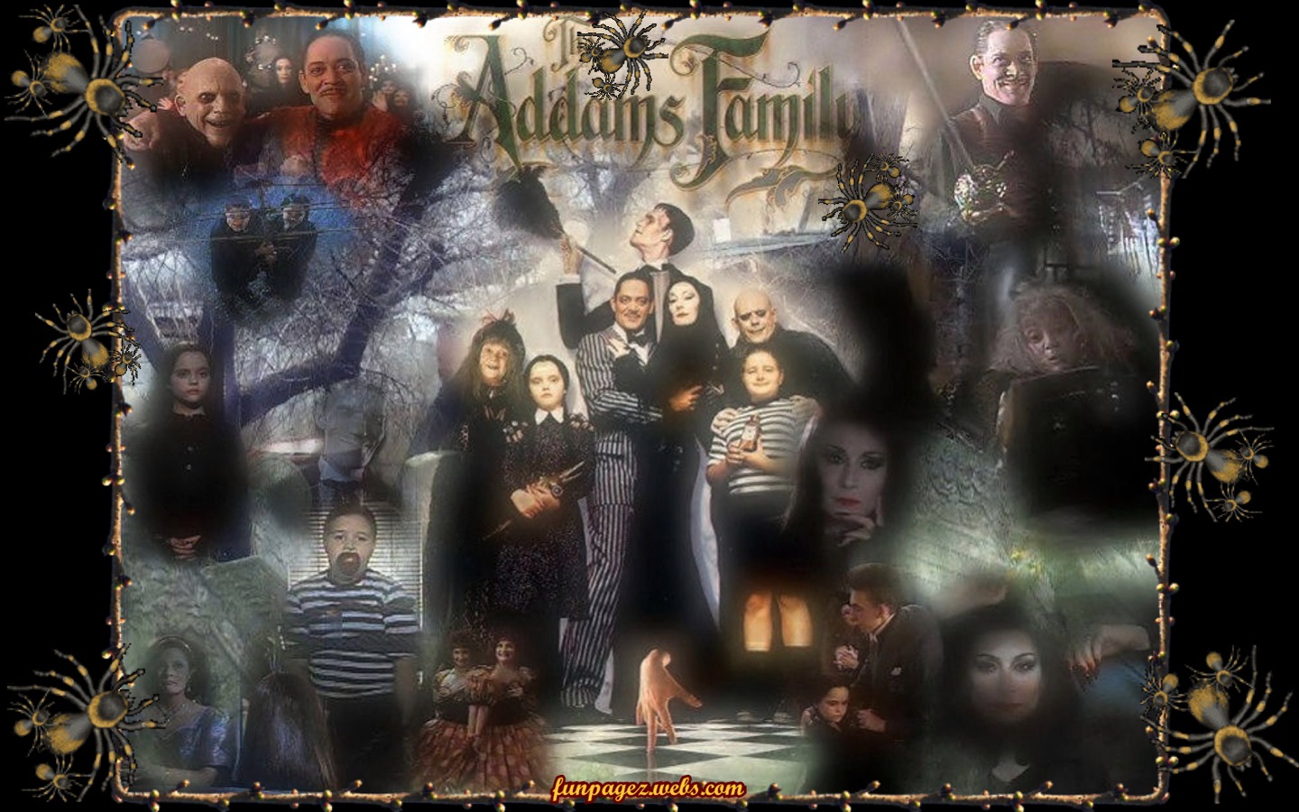 Morticia Addams The Addams Family Wallpapers