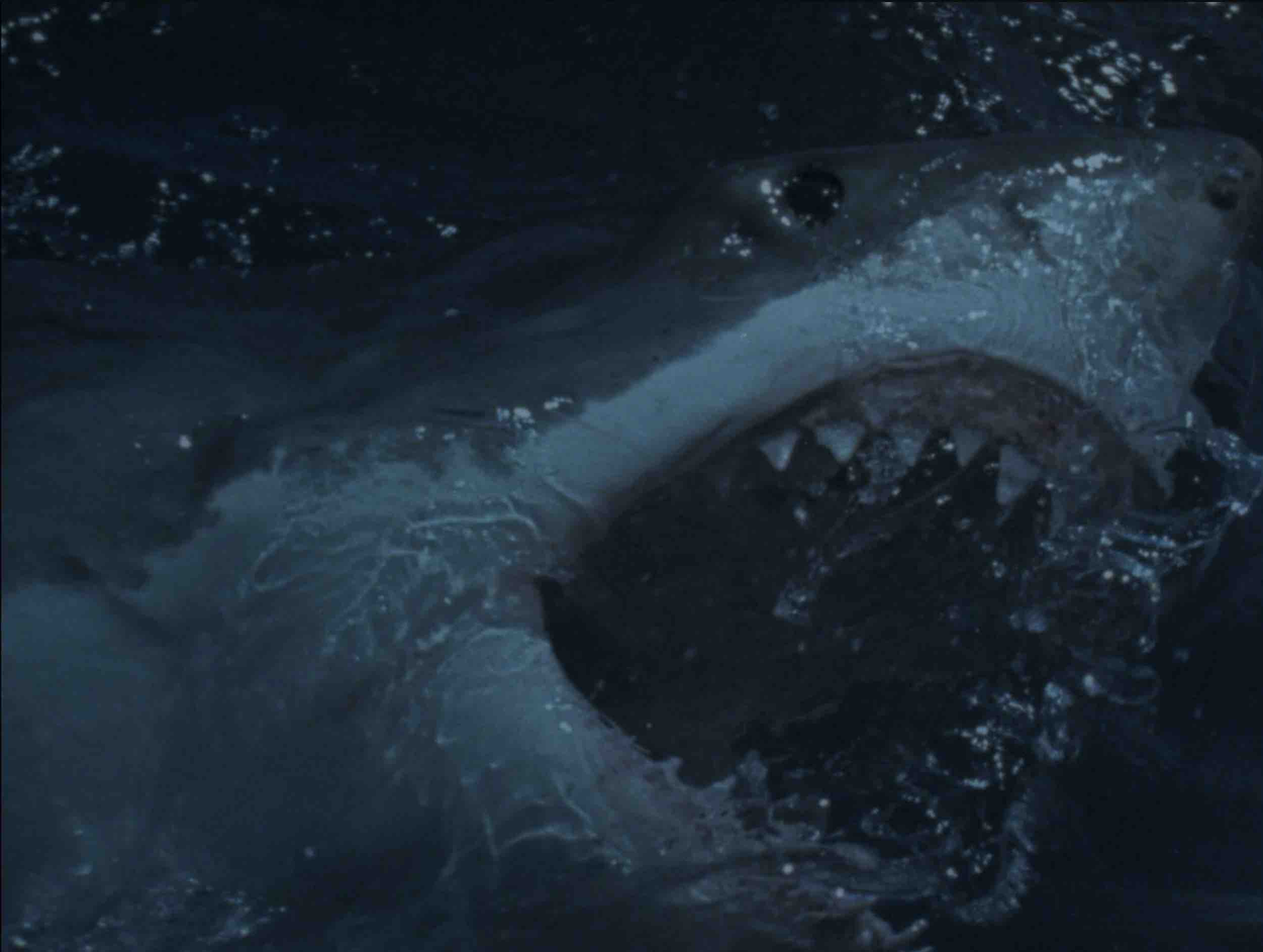 Mosasaurus Shark Snack Poster From Jurassic World 2018 Wallpapers