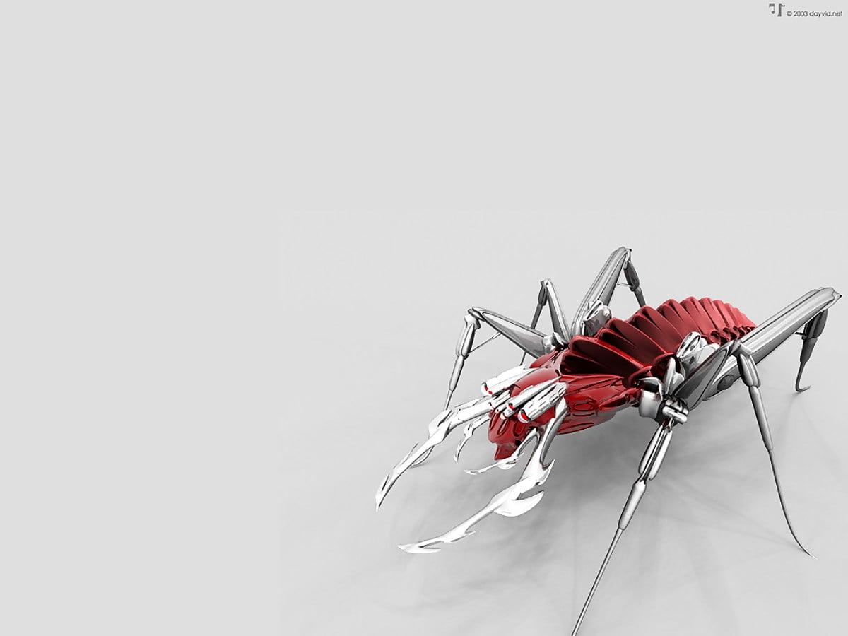 Mosquito Wallpapers