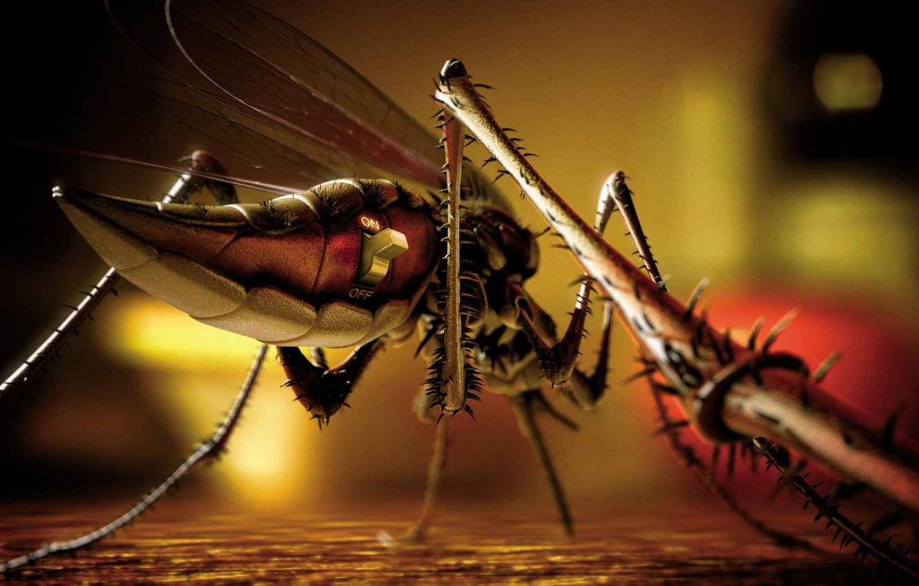 Mosquito Wallpapers