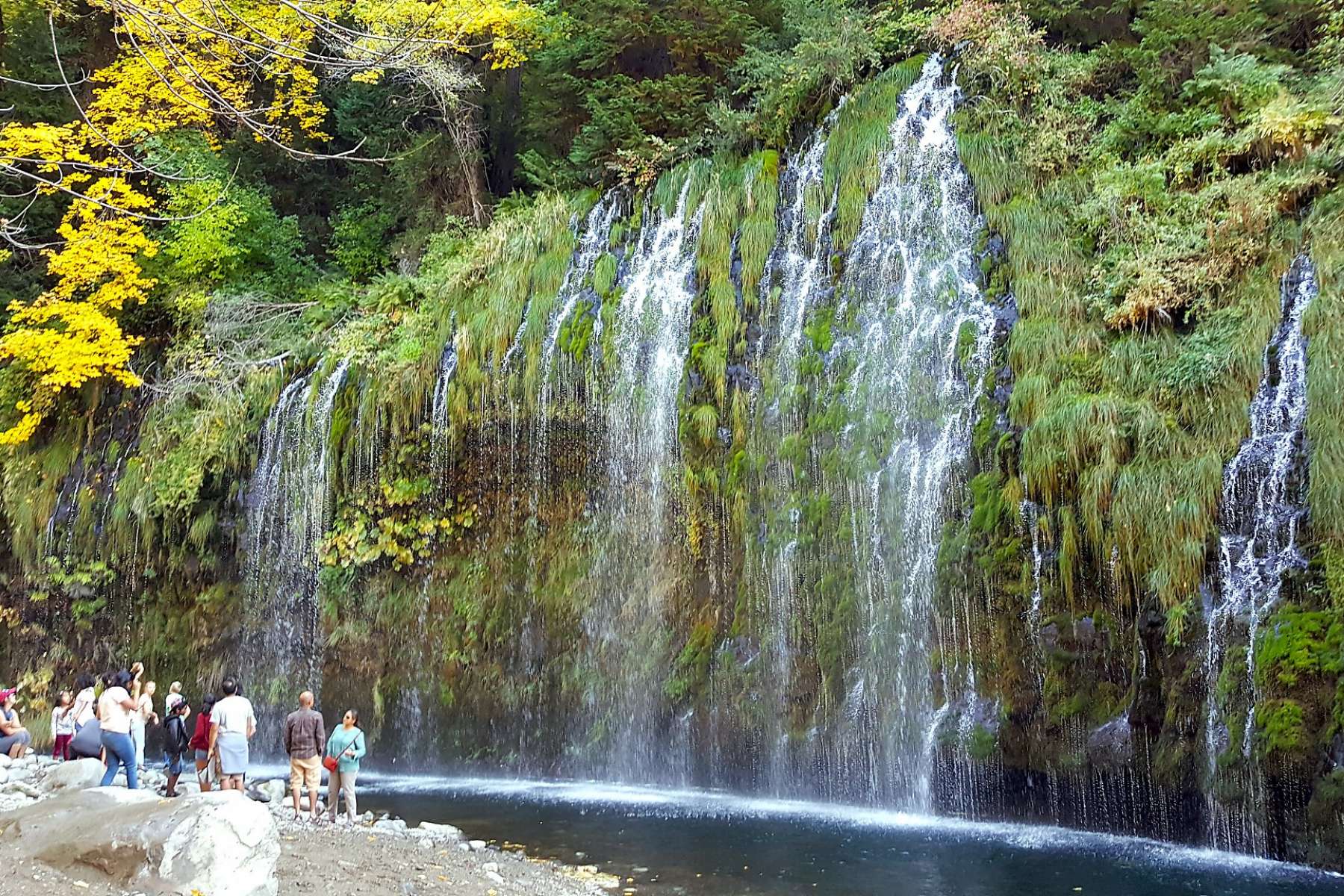 Mossbrae Falls Wallpapers