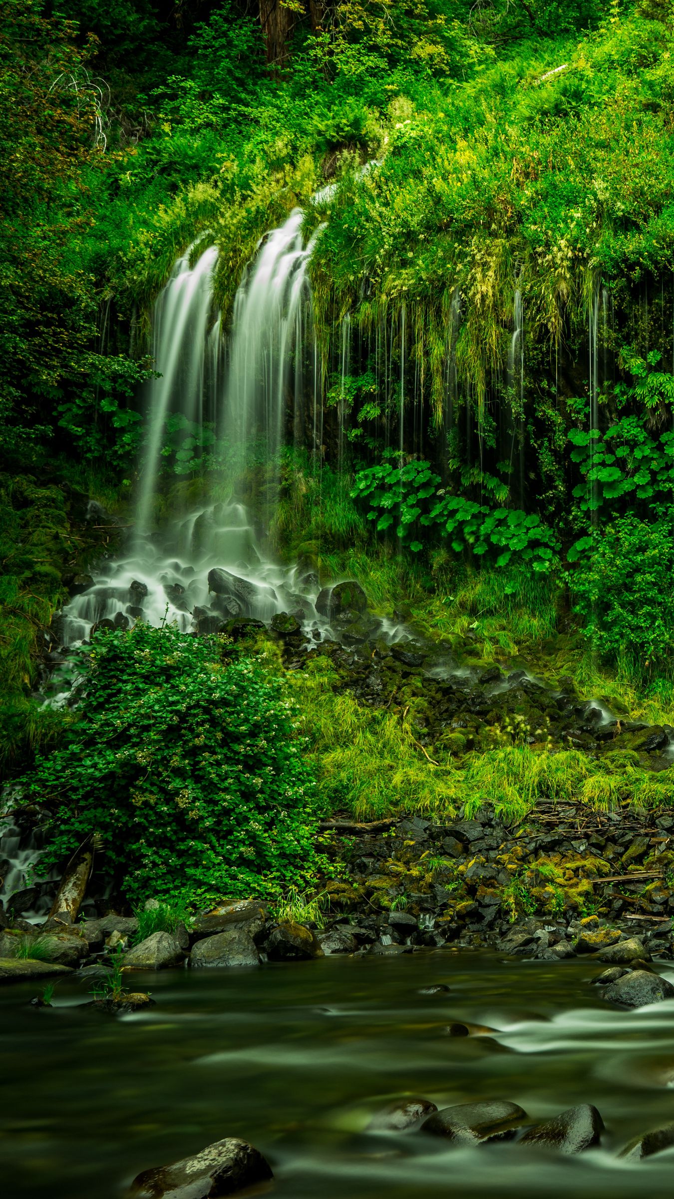 Mossbrae Falls Wallpapers