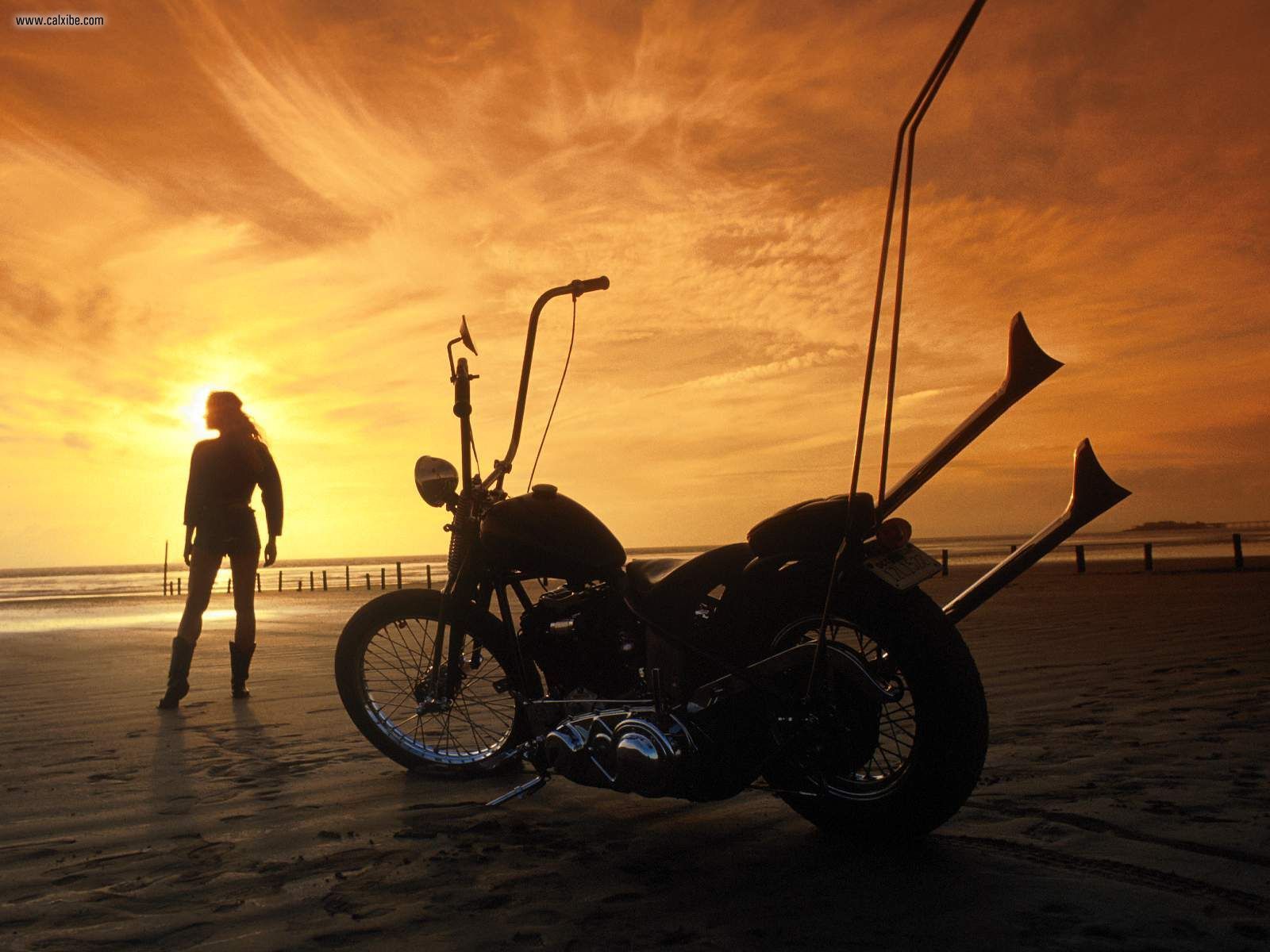 Motorcyle Digital Art Sunset Wallpapers