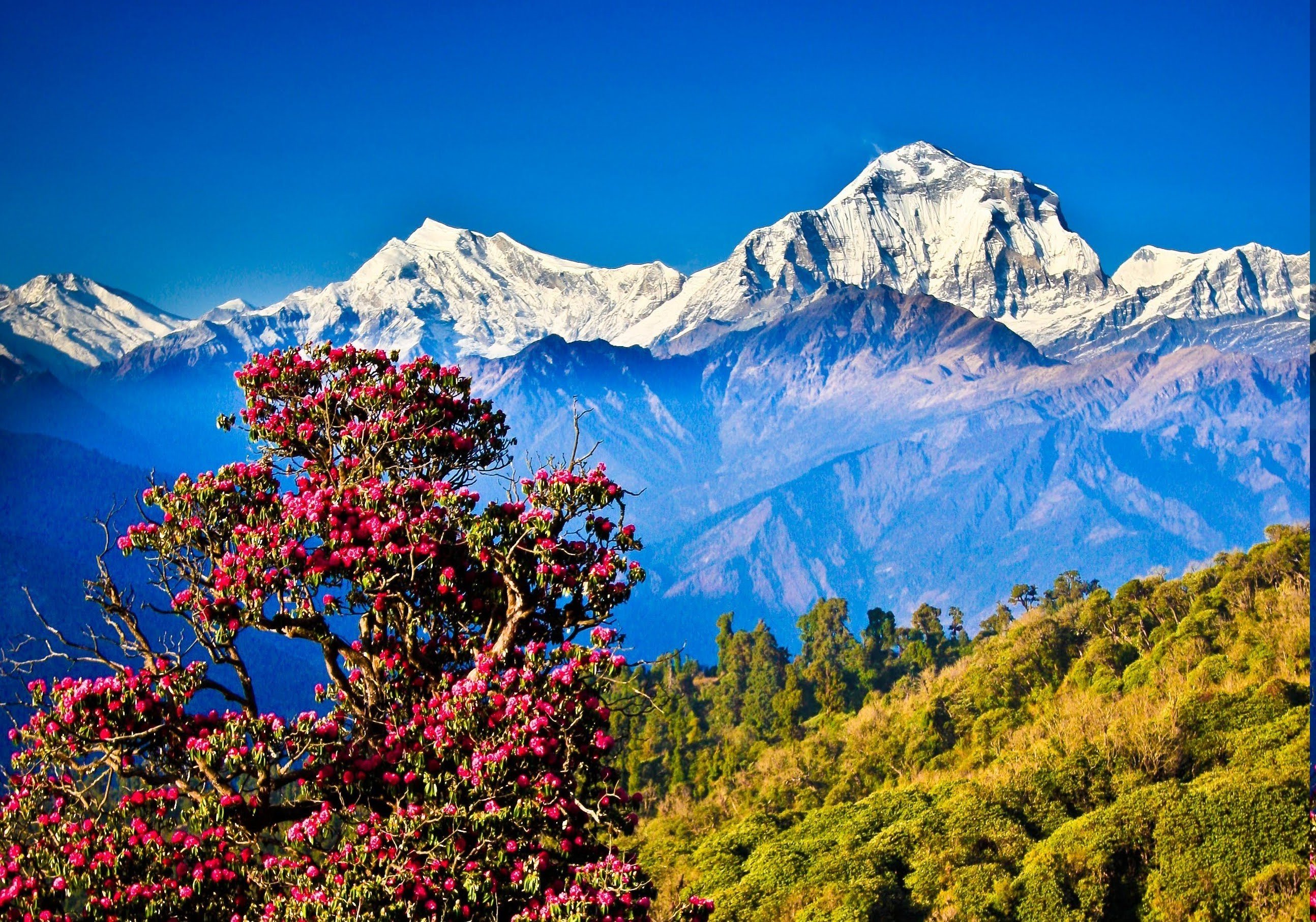 Mount Everest Wallpapers