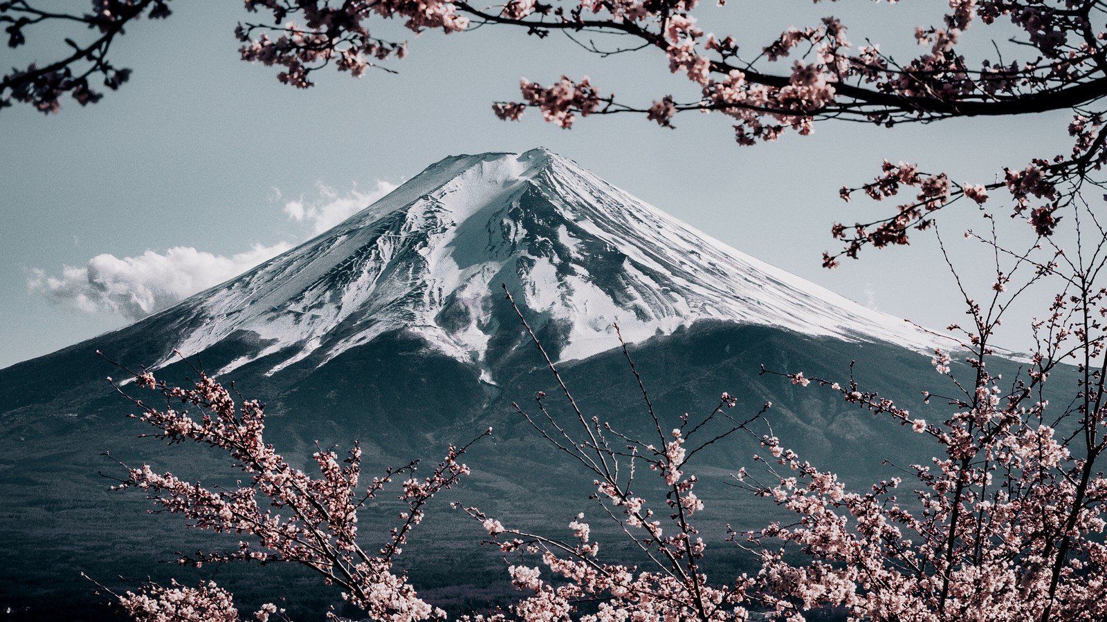 Mount Fuji Background