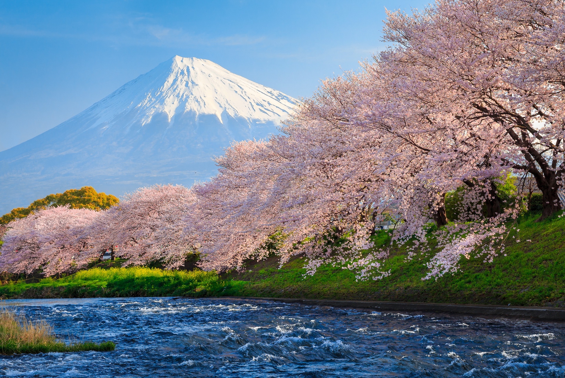 Mount Fuji Background