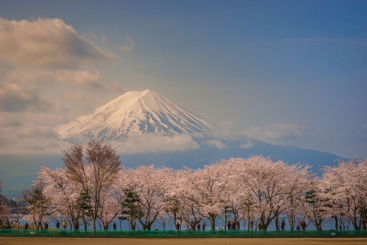 Mount Fuji Beautiful Shot Wallpapers