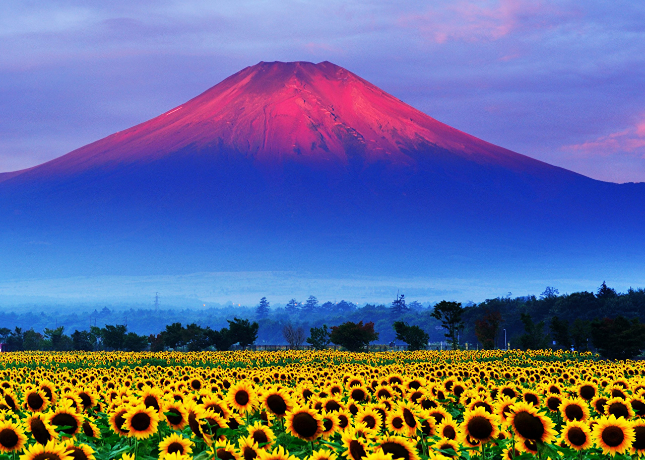 Mount Fuji Beautiful Shot Wallpapers