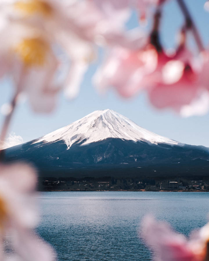 Mount Fuji Japan Wallpapers