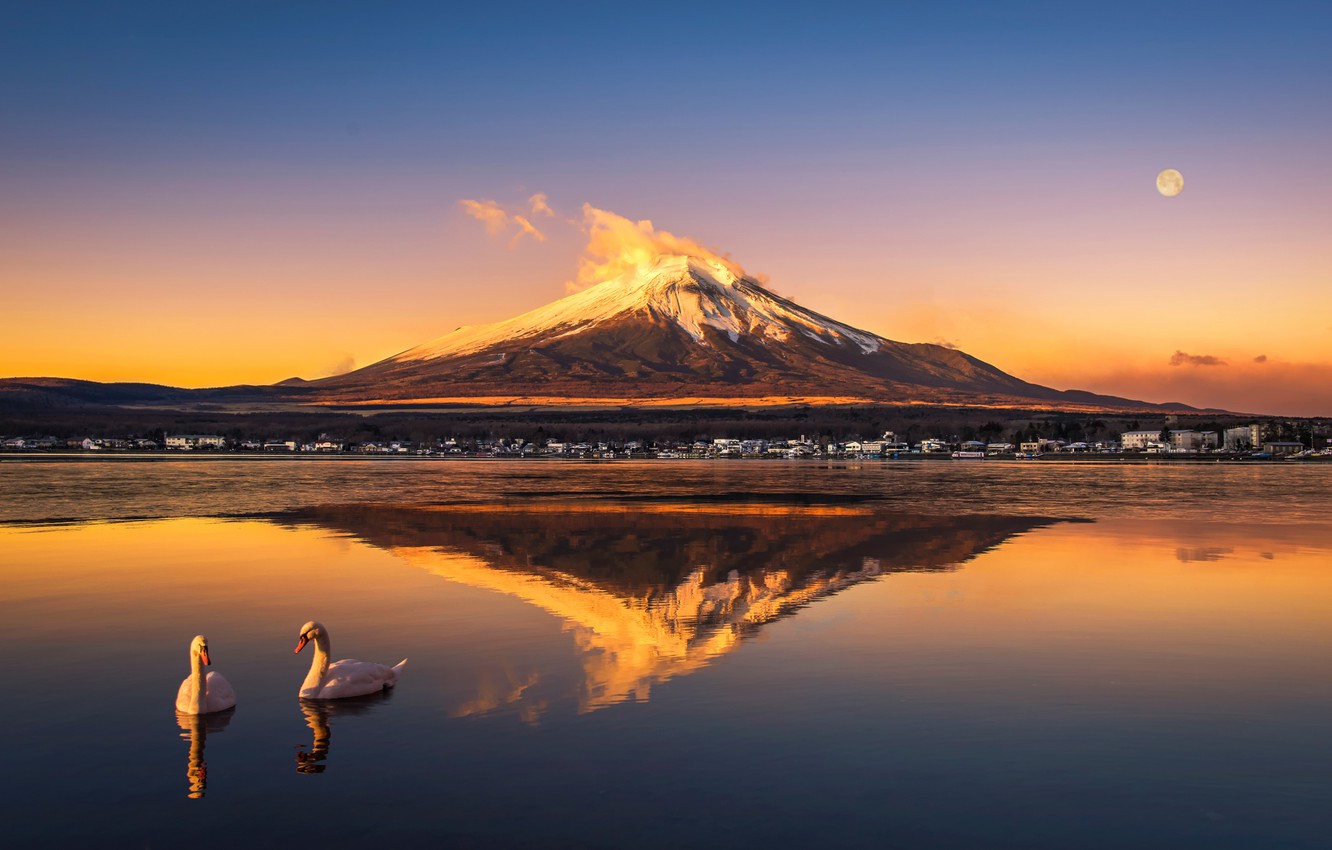 Mount Fuji Reflection Wallpapers