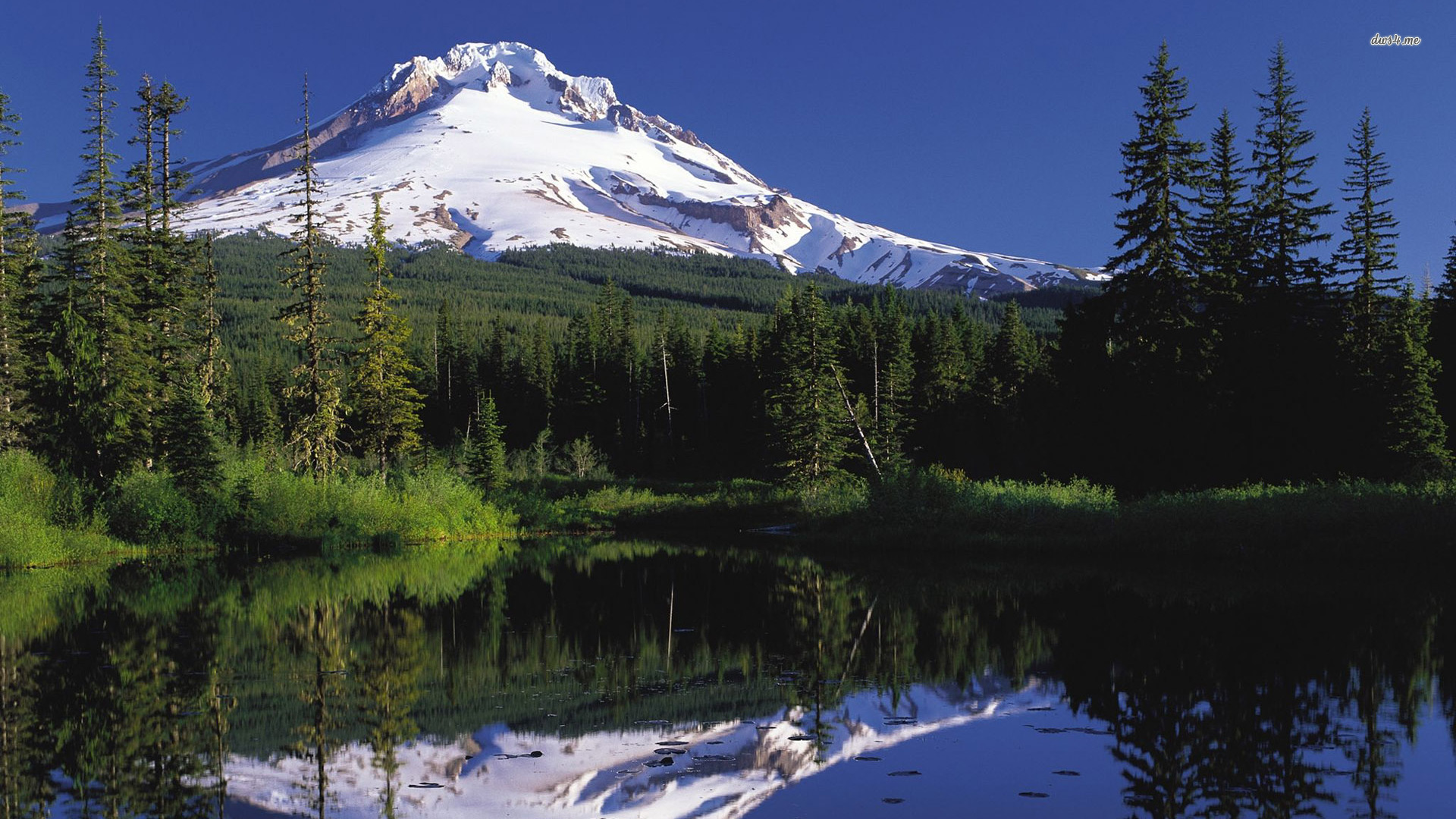 Mount Hood Wallpapers