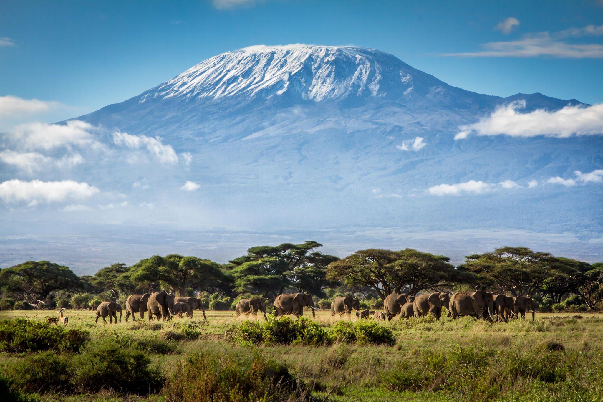 Mount Kilimanjaro Wallpapers