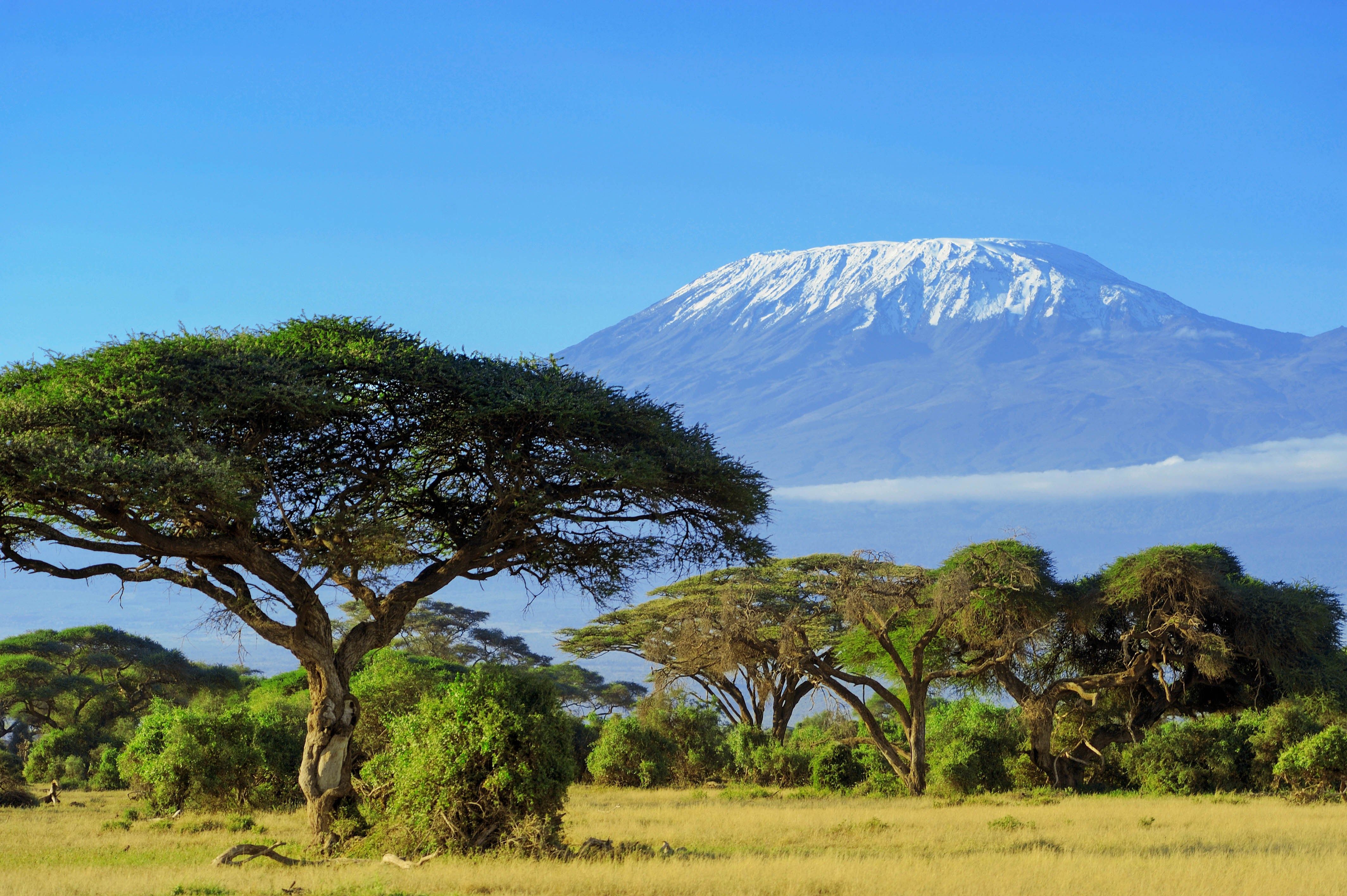 Mount Kilimanjaro Wallpapers