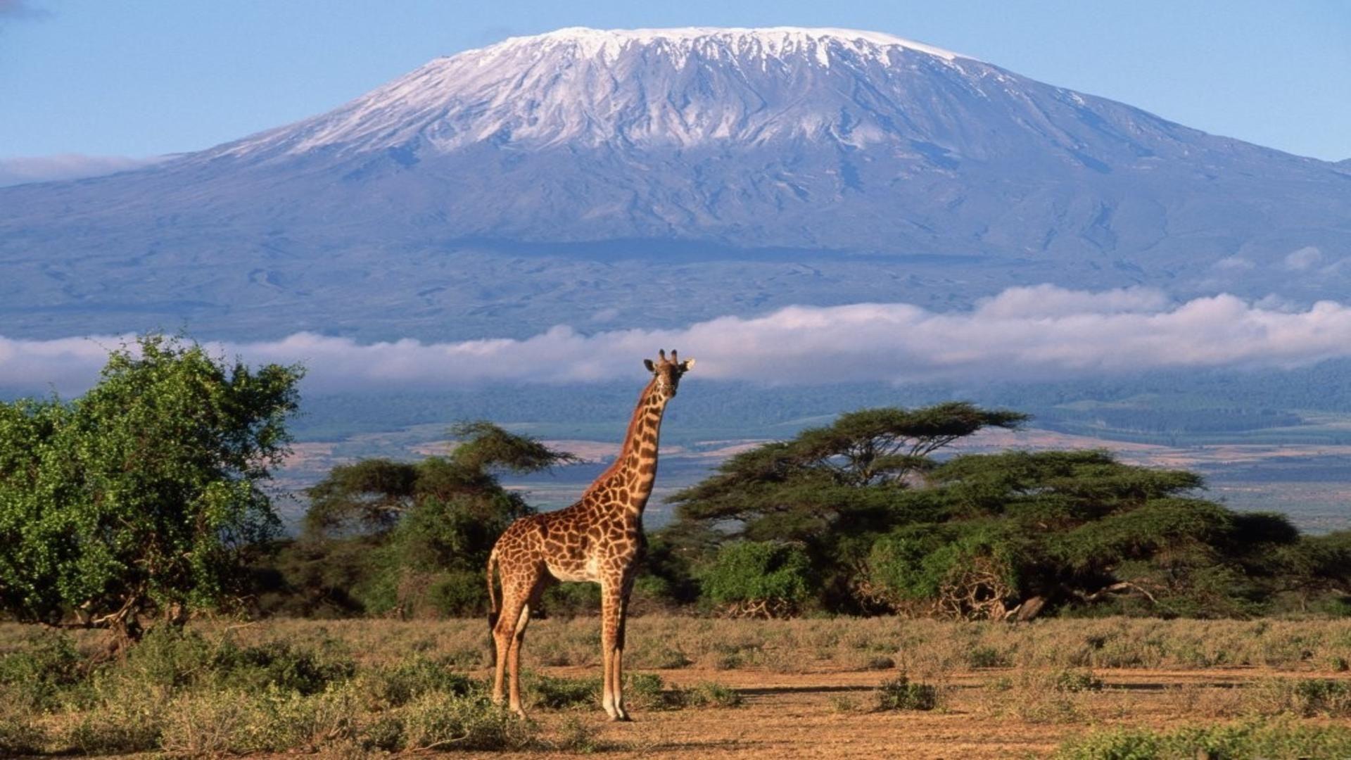 Mount Kilimanjaro Wallpapers