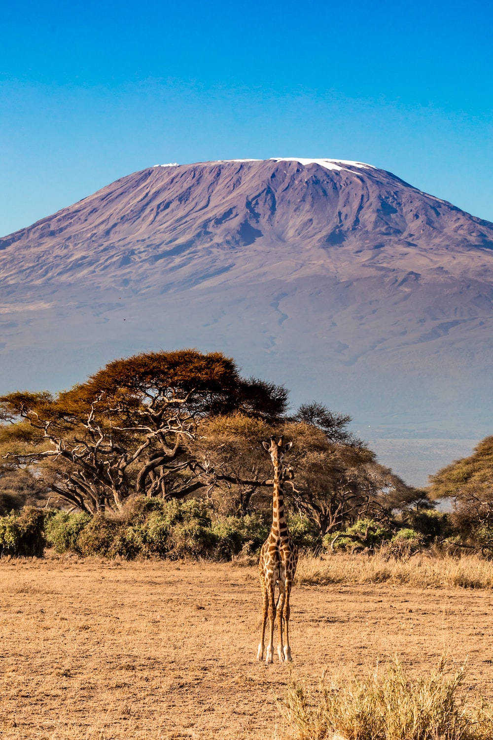 Mount Kilimanjaro Wallpapers