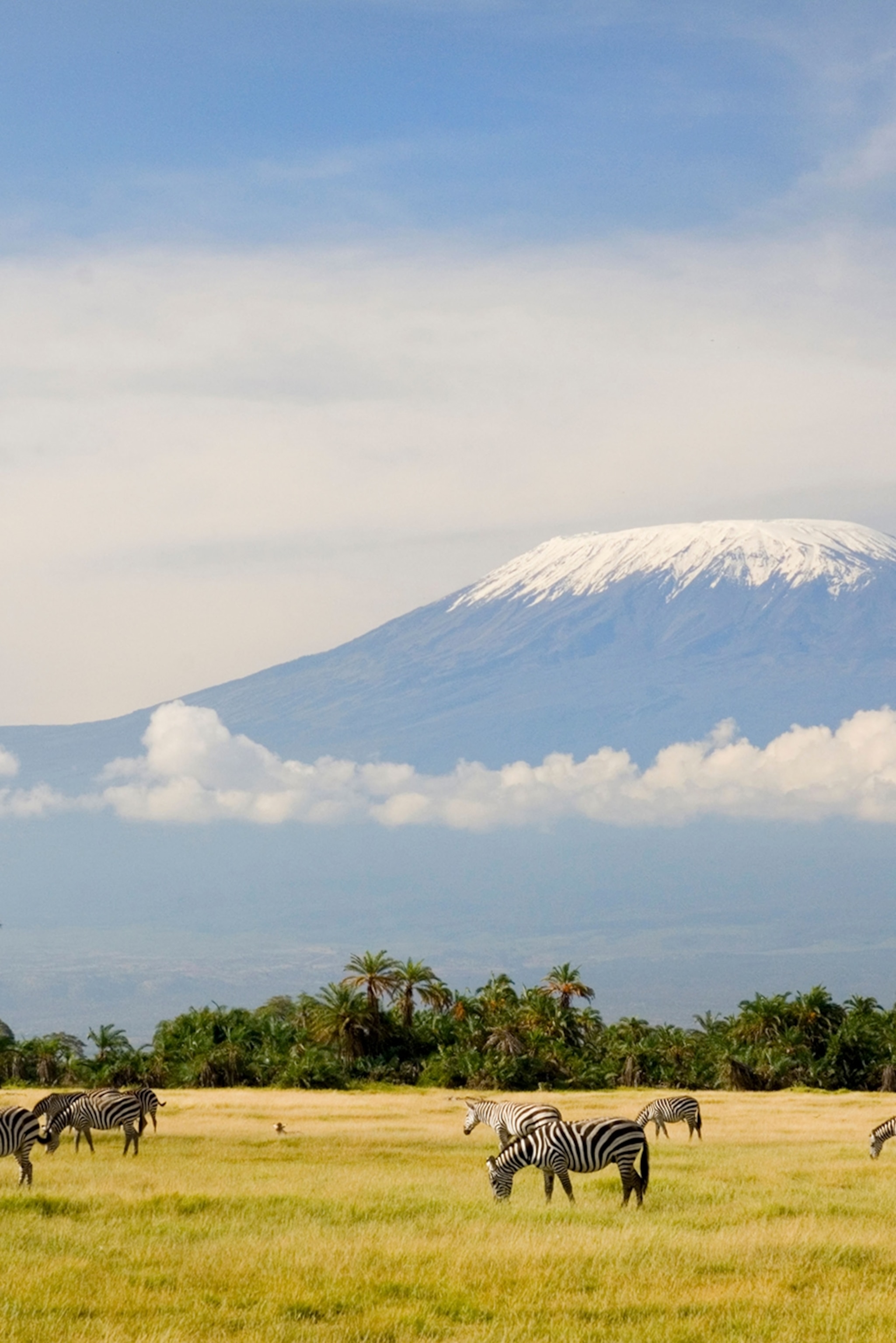 Mount Kilimanjaro Wallpapers