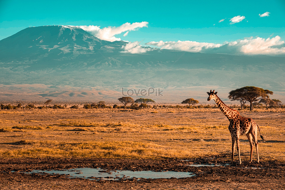 Mount Kilimanjaro Wallpapers