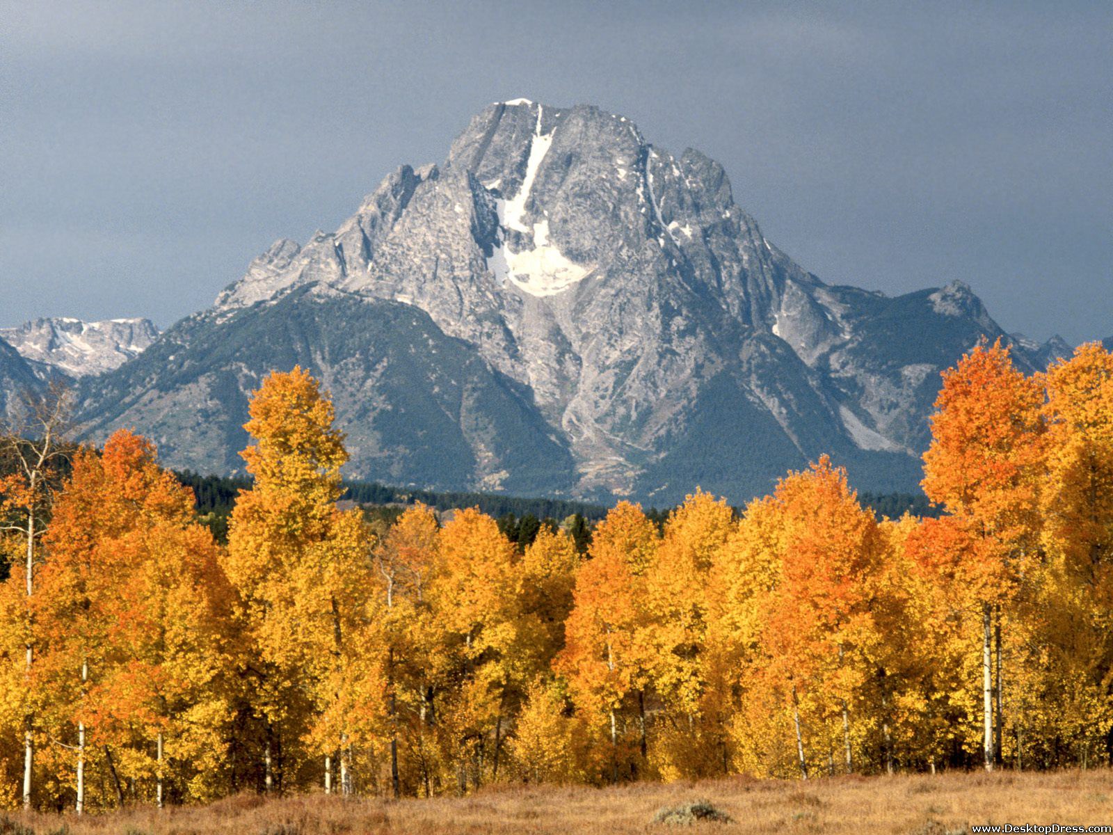 Mount Moran Wallpapers