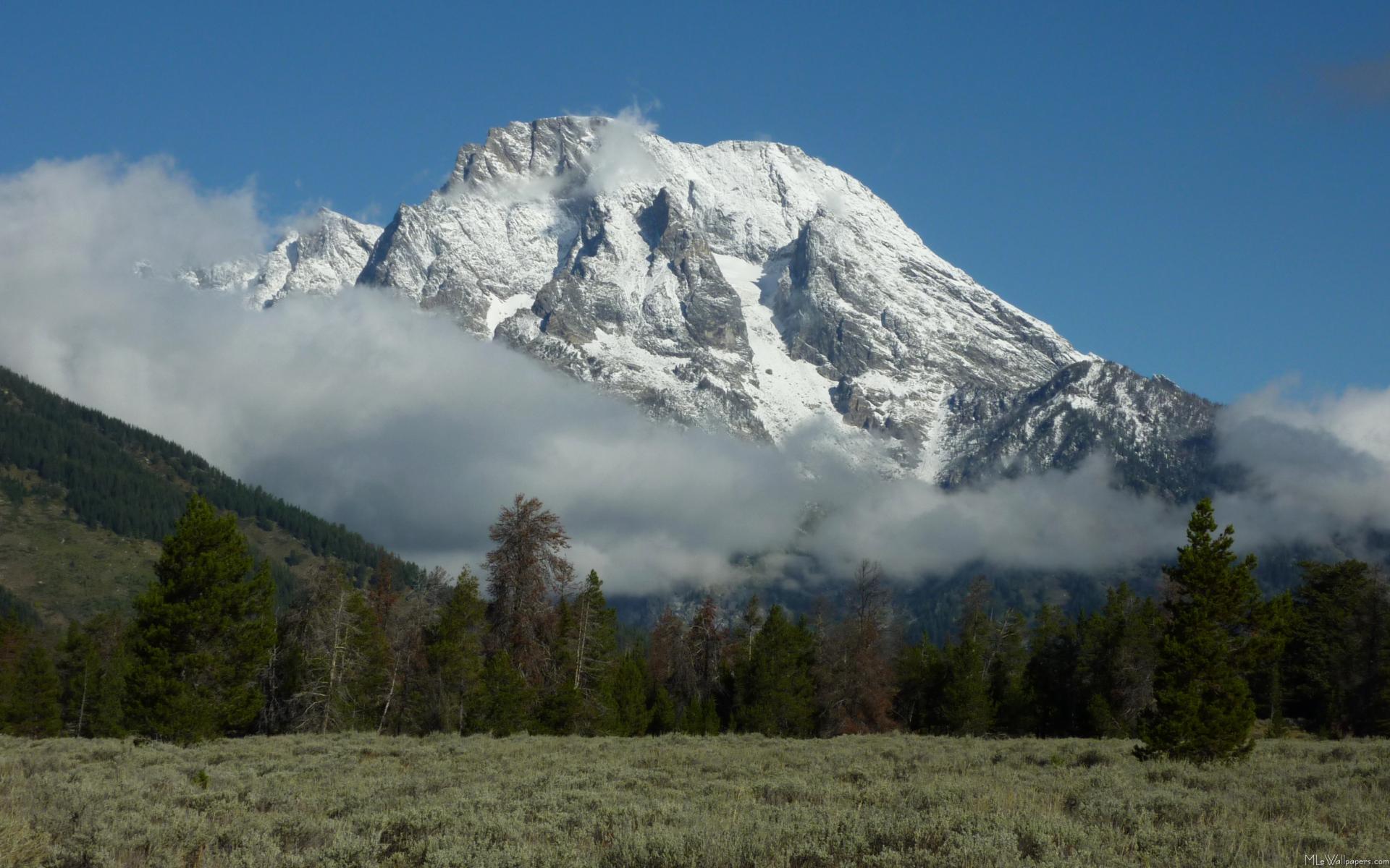 Mount Moran Wallpapers