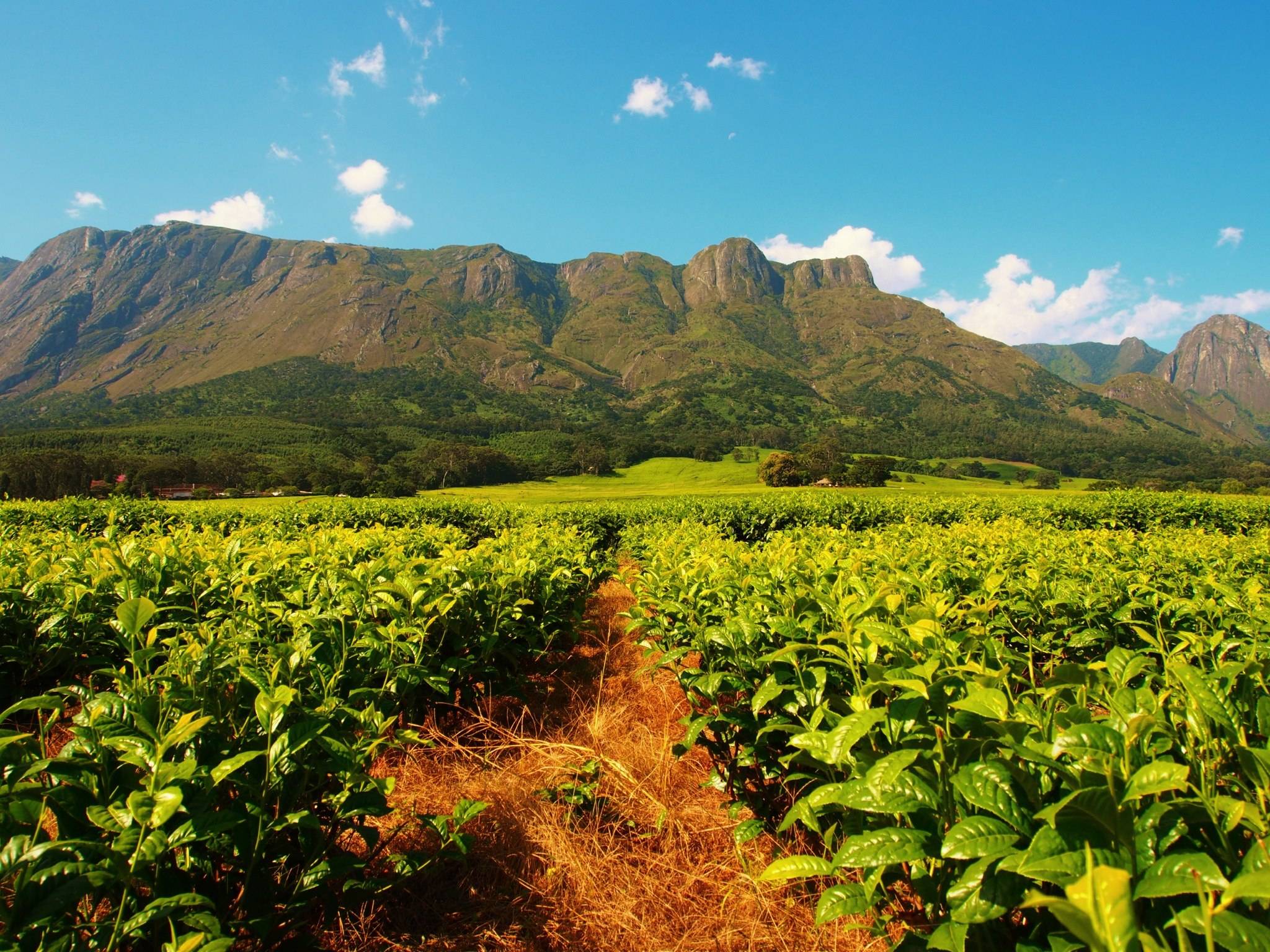 Mount Mulanje Wallpapers